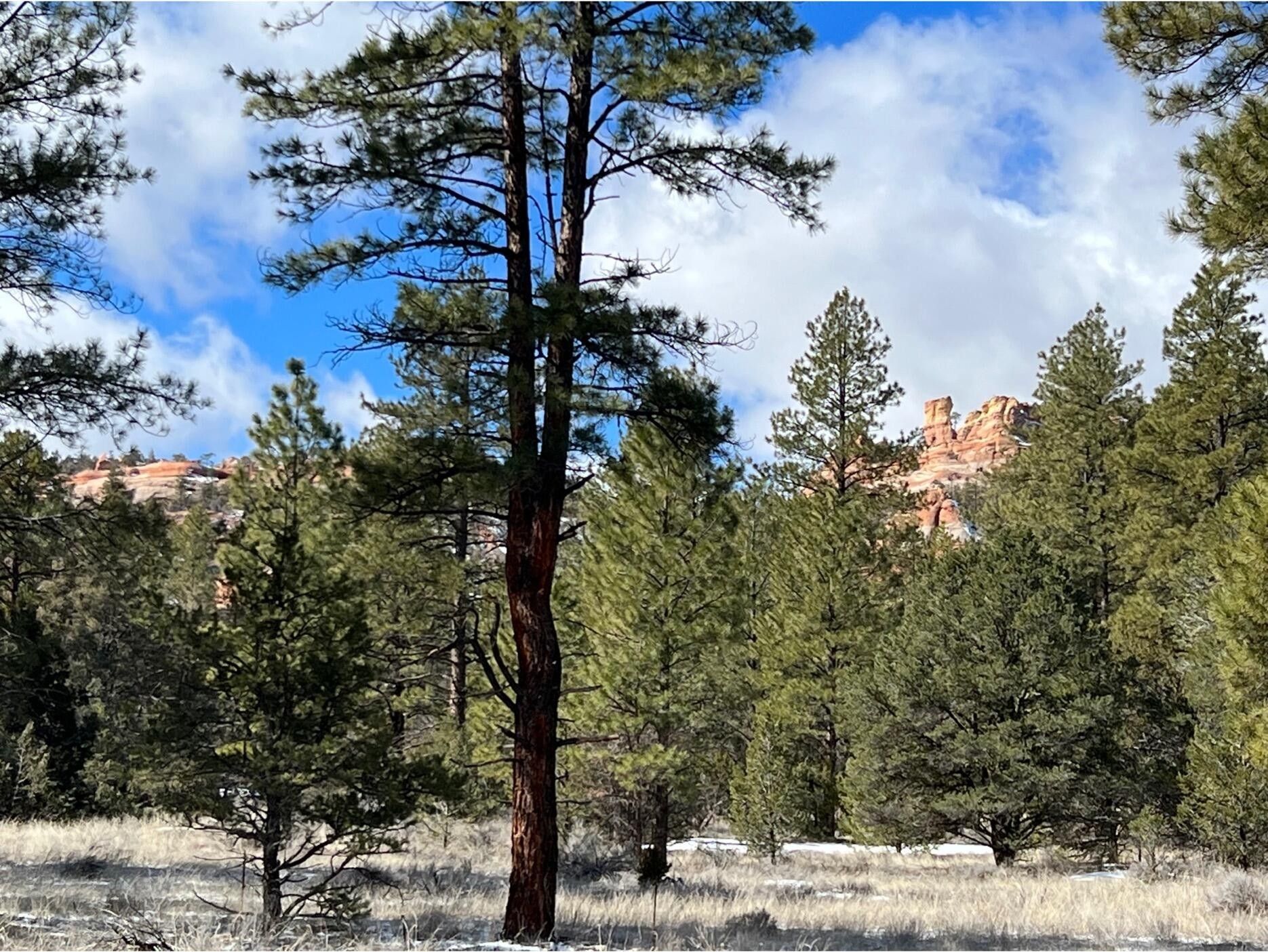 Ramah, McKinley County, NM Undeveloped Land, Homesites for sale