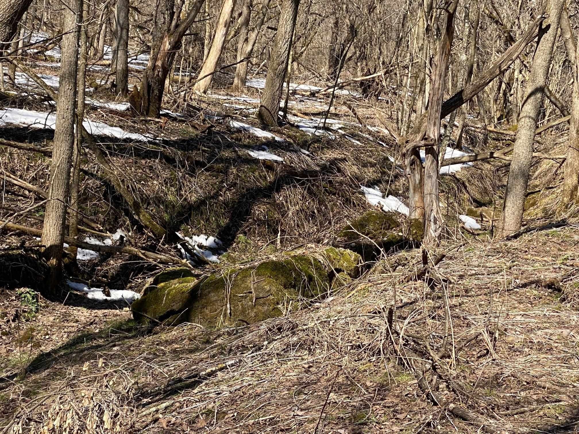 Cazenovia, Richland County, WI Undeveloped Land for sale Property ID