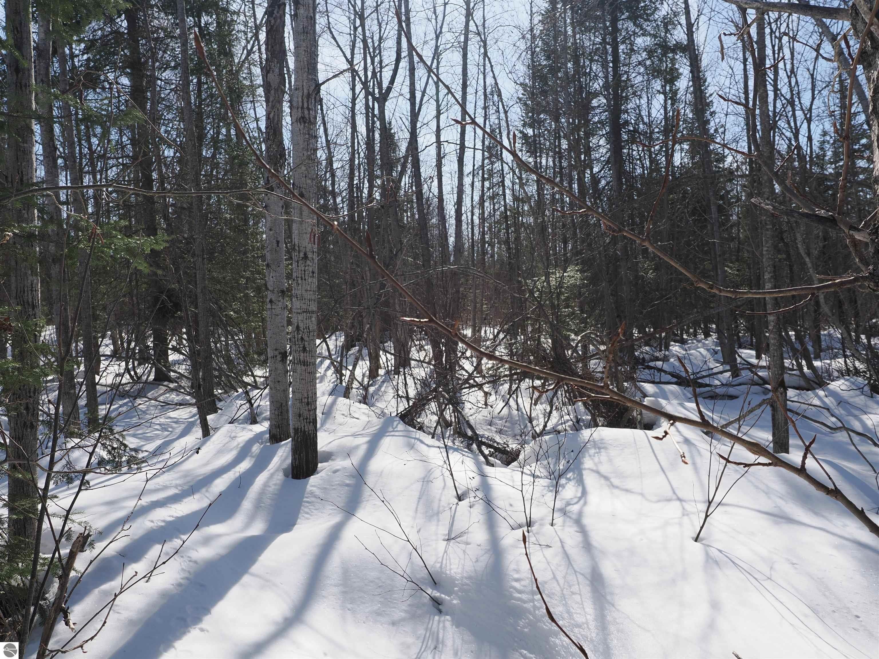 Pickford, Chippewa County, MI Farms and Ranches, Lakefront Property, Waterfront Property for