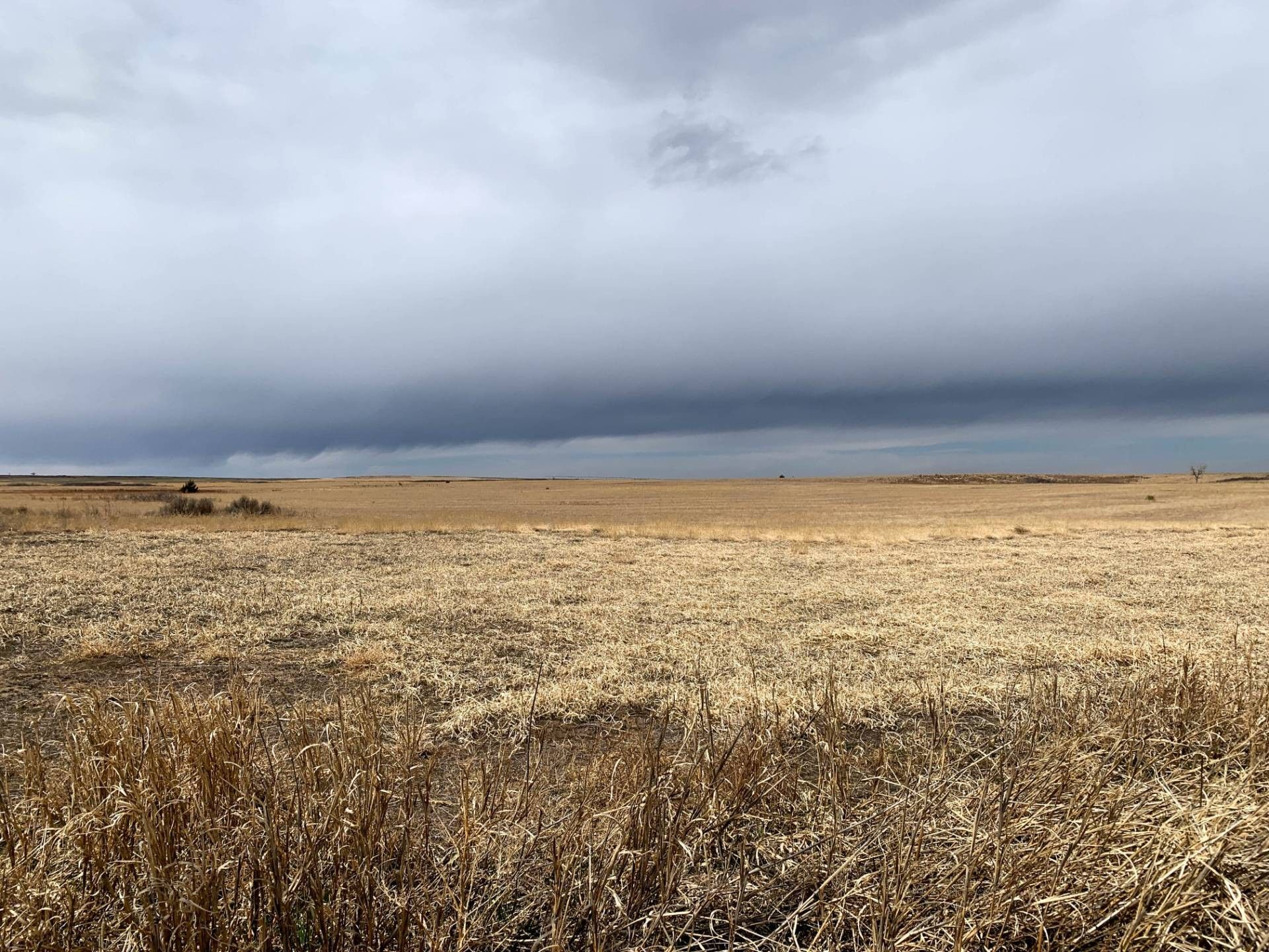 Laverne, Beaver County, OK Undeveloped Land for sale Property ID