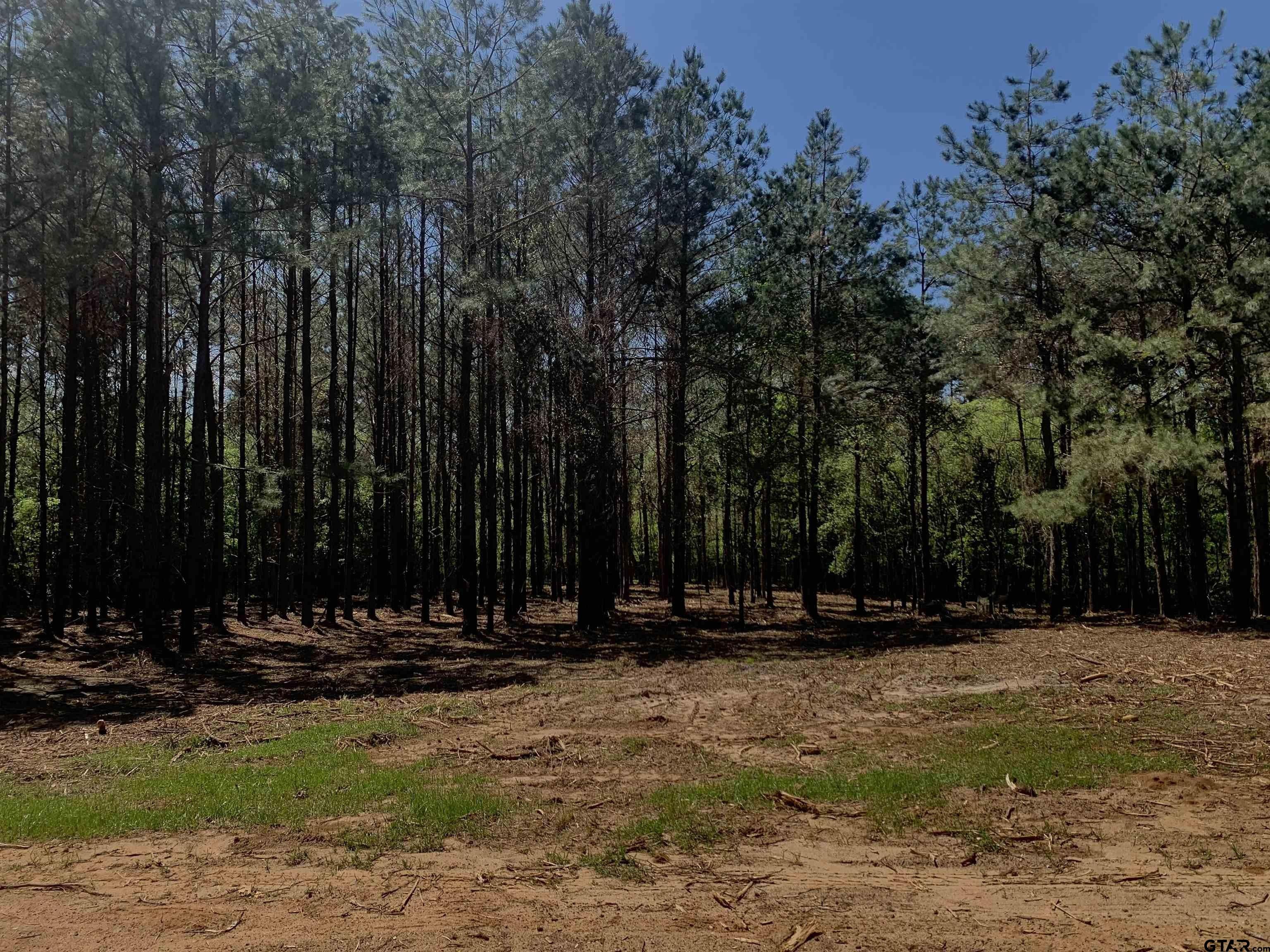 Frankston, Anderson County, TX Undeveloped Land for sale Property ID