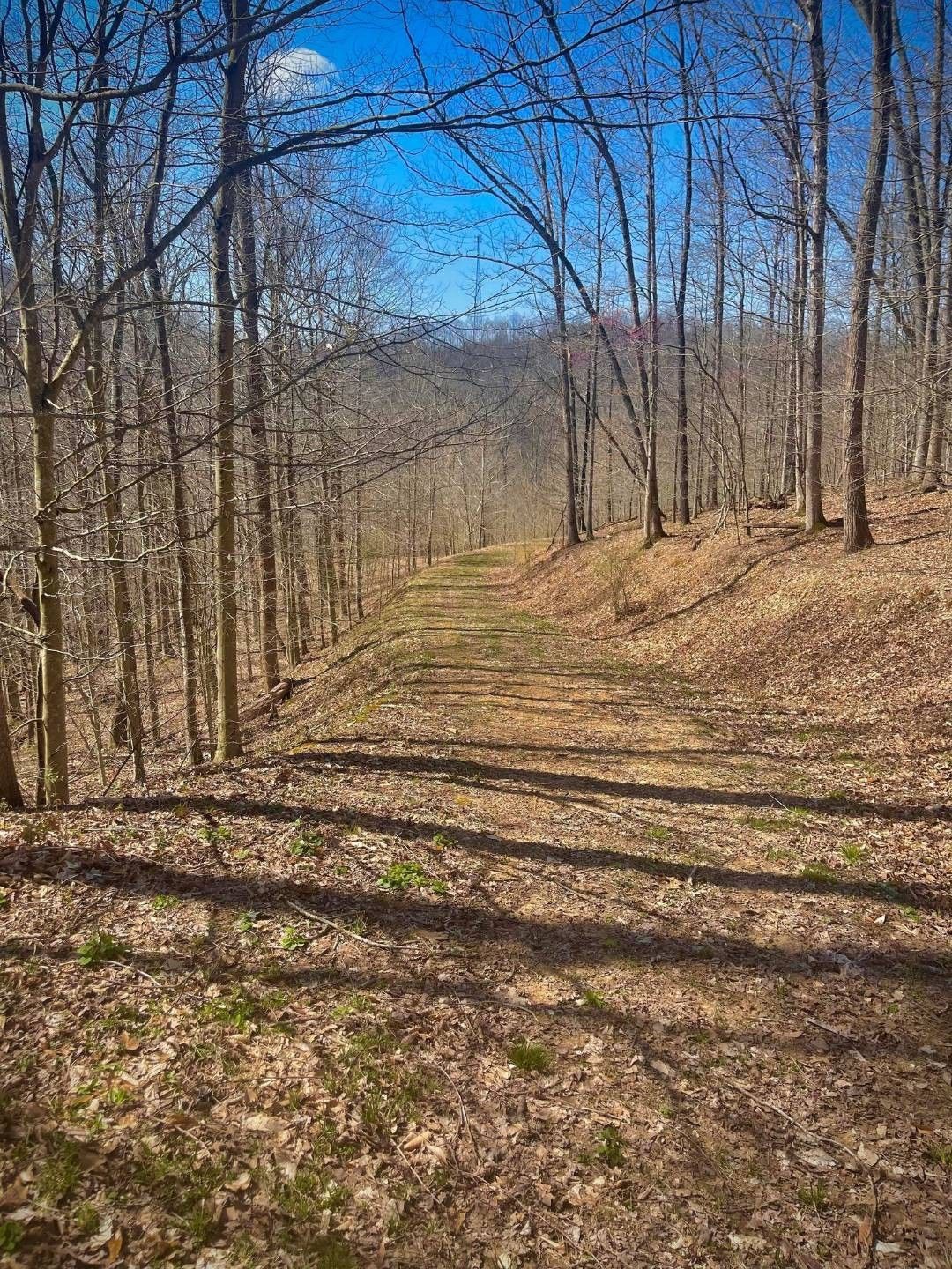 Gassaway, Braxton County, WV Farms and Ranches for sale Property ID