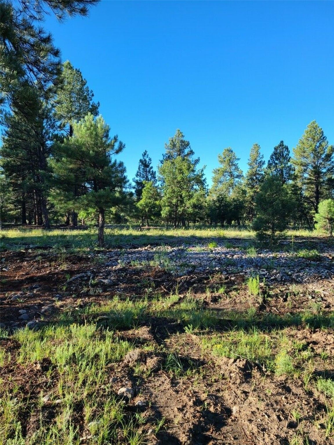 Chama, Rio Arriba County, NM Farms and Ranches for sale Property ID