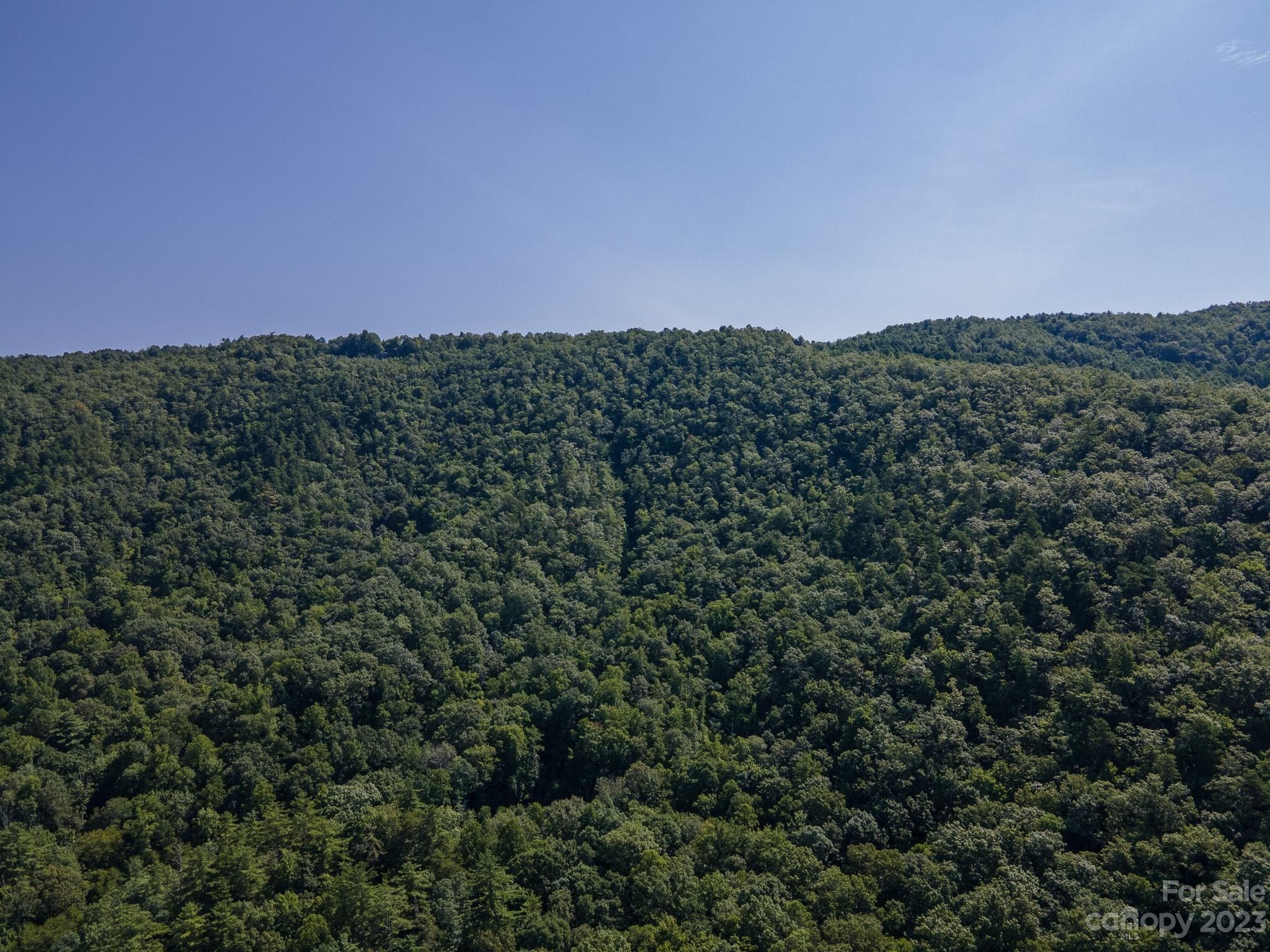 Brevard, Transylvania County, NC Farms and Ranches for sale Property ID