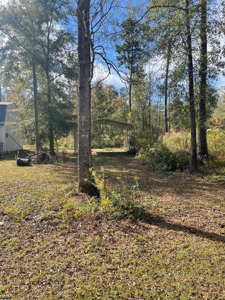 Abbeville, Henry County, AL Farms and Ranches, Homesites for sale