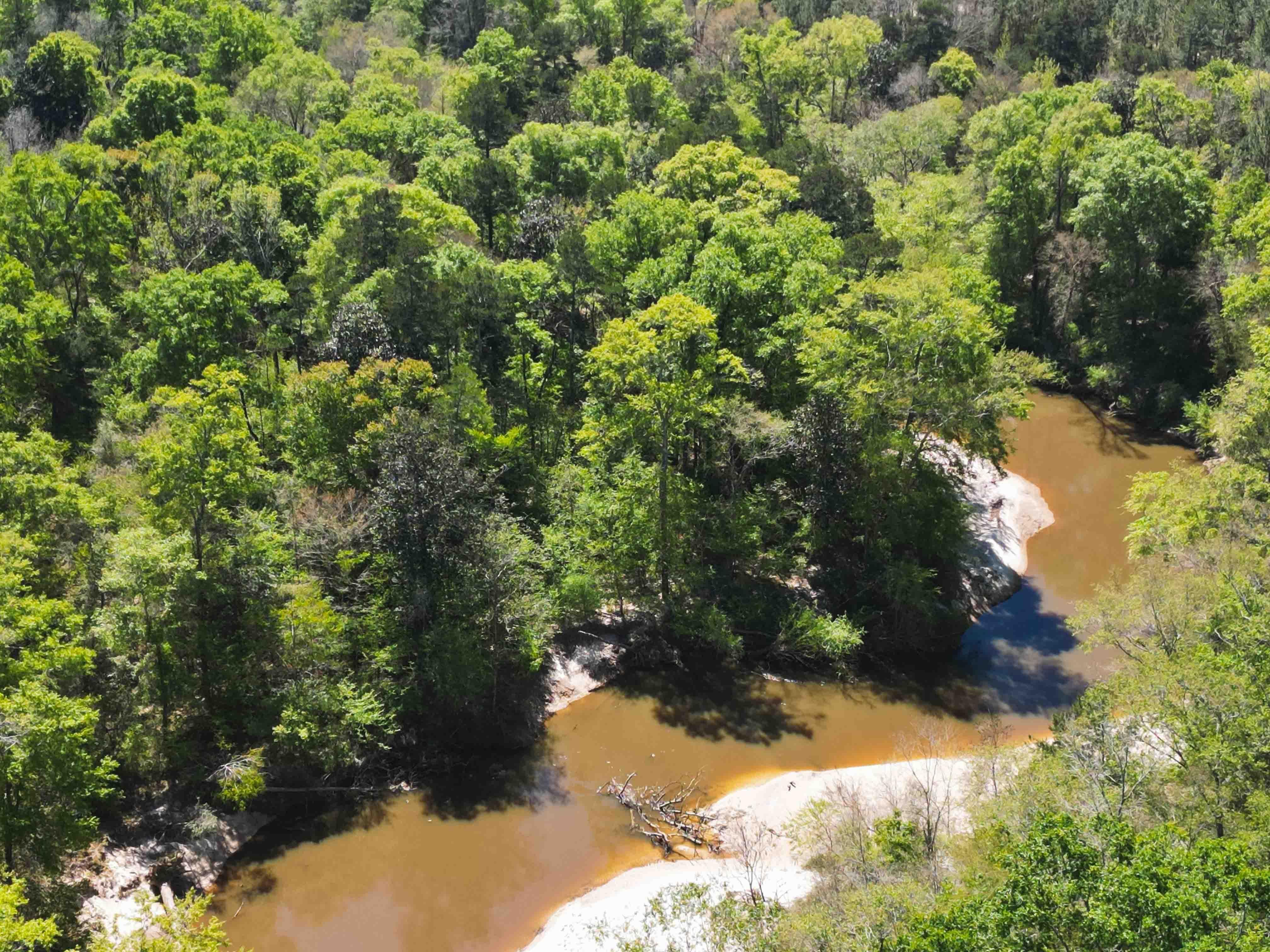 43 acres in Quitman, MS, 39355 LandWatch