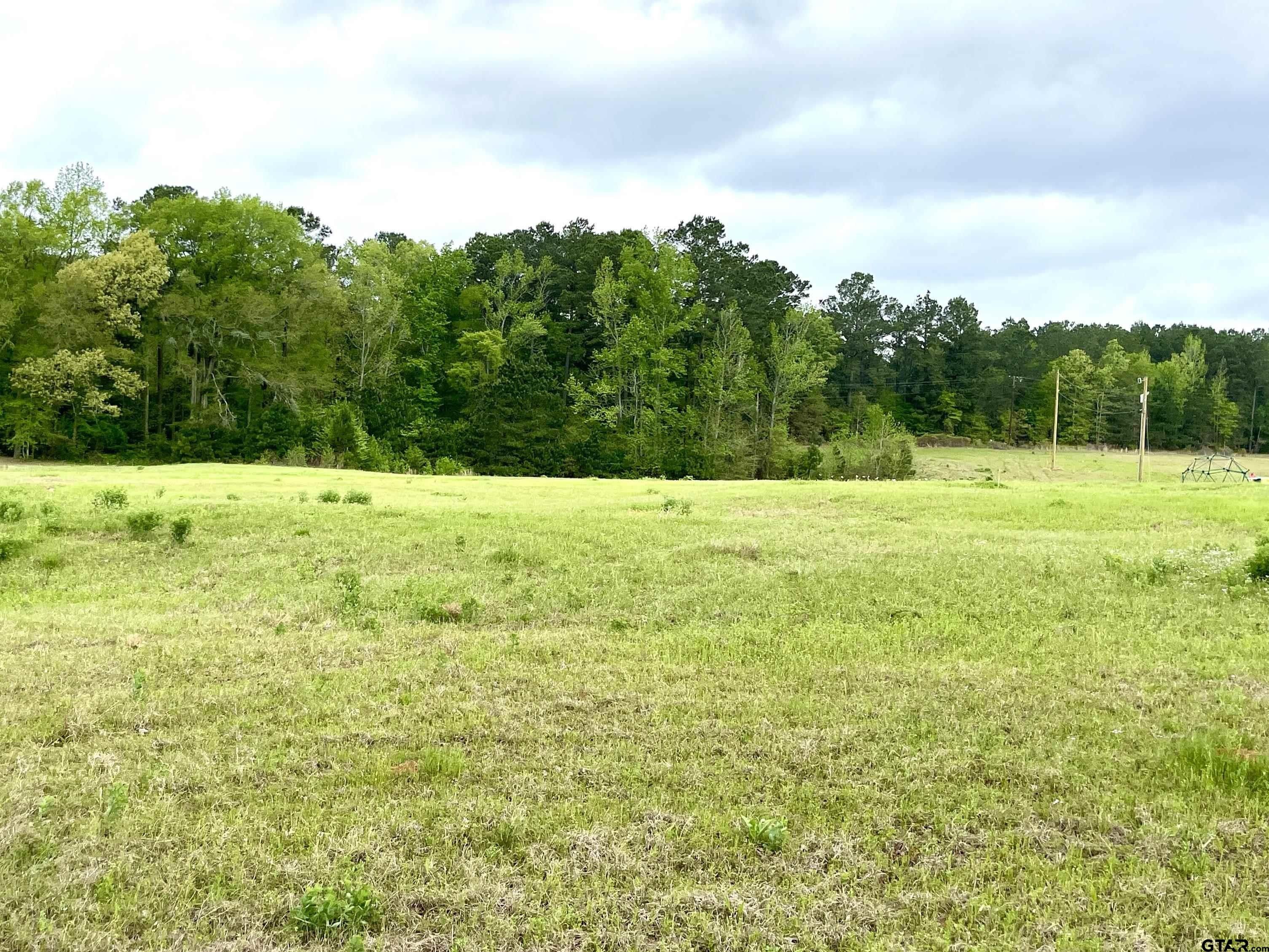 Troup, Smith County, TX Undeveloped Land, Homesites for sale Property