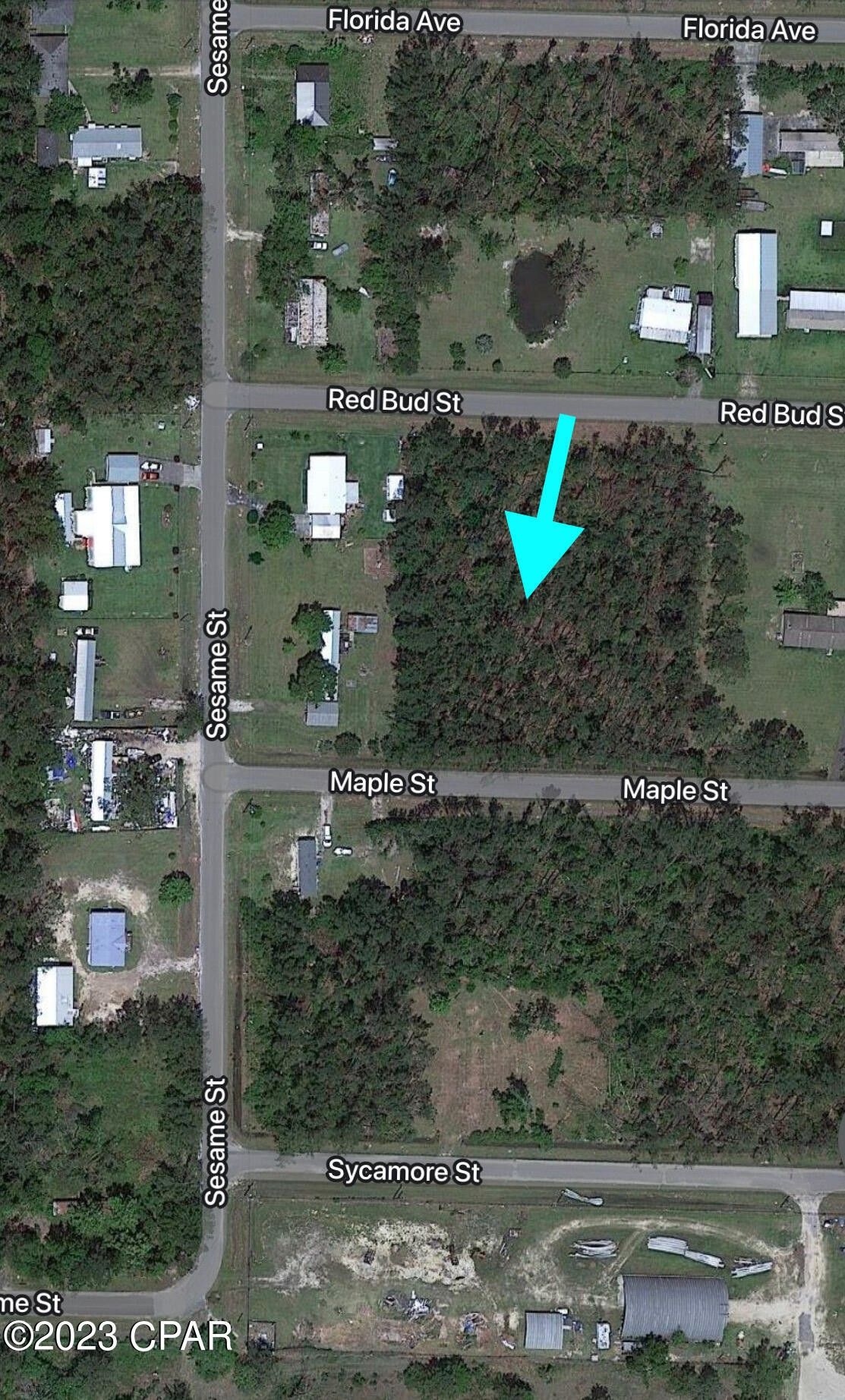 Wewahitchka, Gulf County, FL Farms and Ranches, Homesites for sale