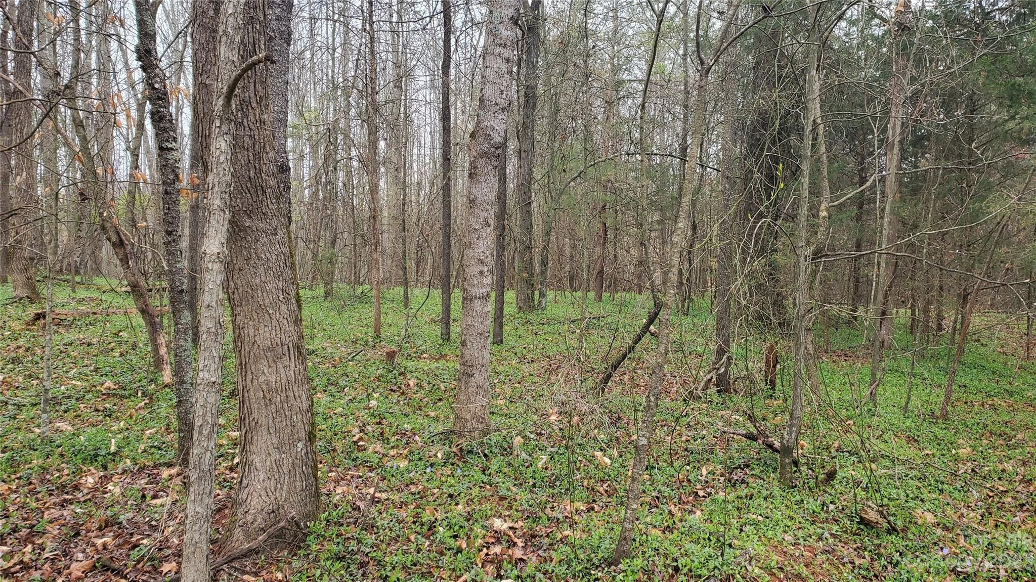 Lincolnton, Lincoln County, NC Undeveloped Land for sale Property ID