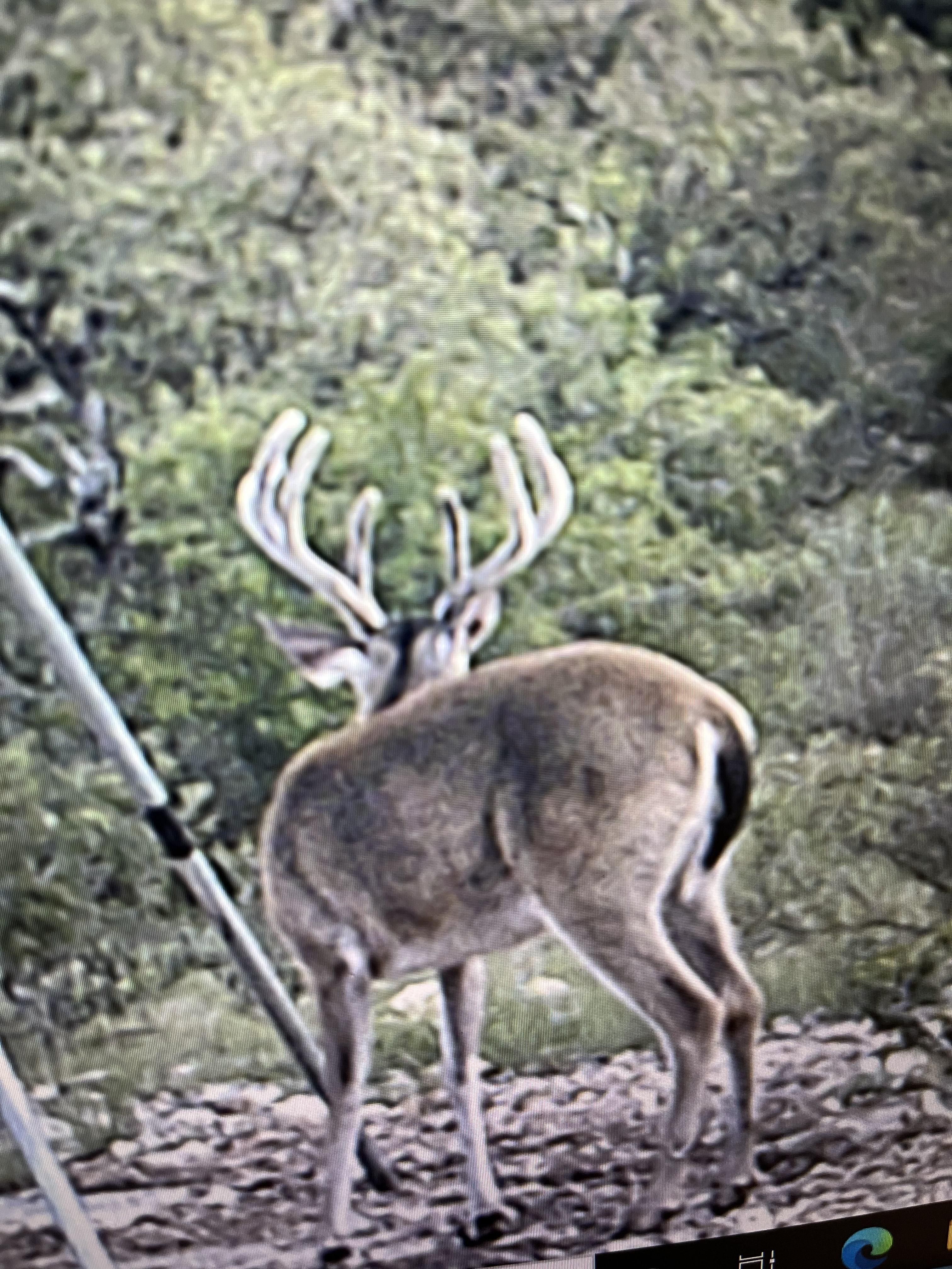 Rocksprings, Edwards County, TX Farms and Ranches, Recreational