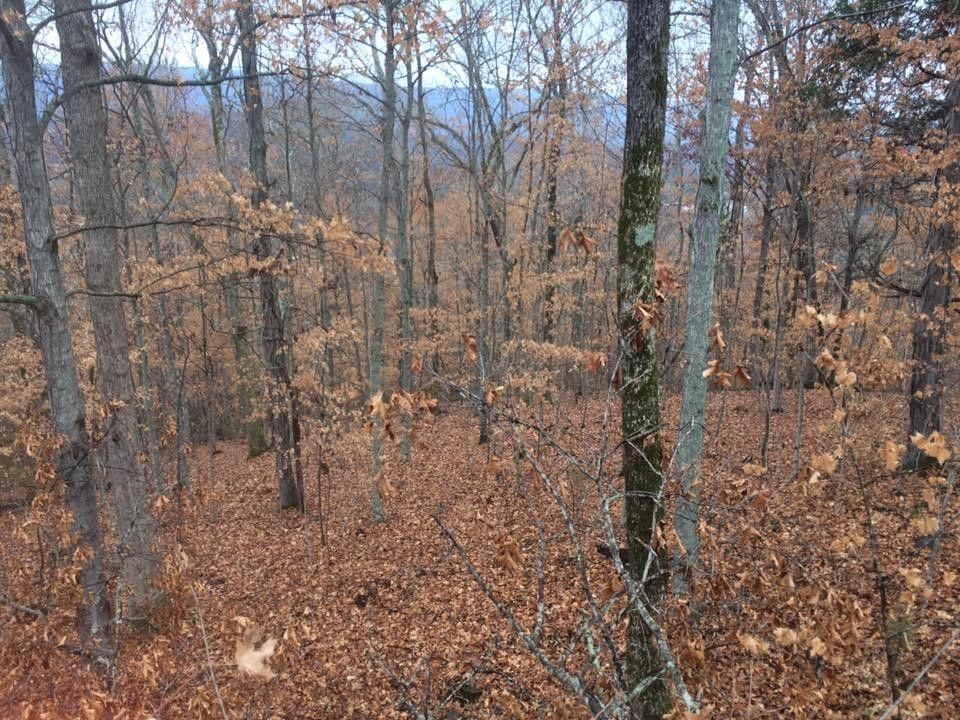 Whitwell, Marion County, TN Farms and Ranches for sale Property ID
