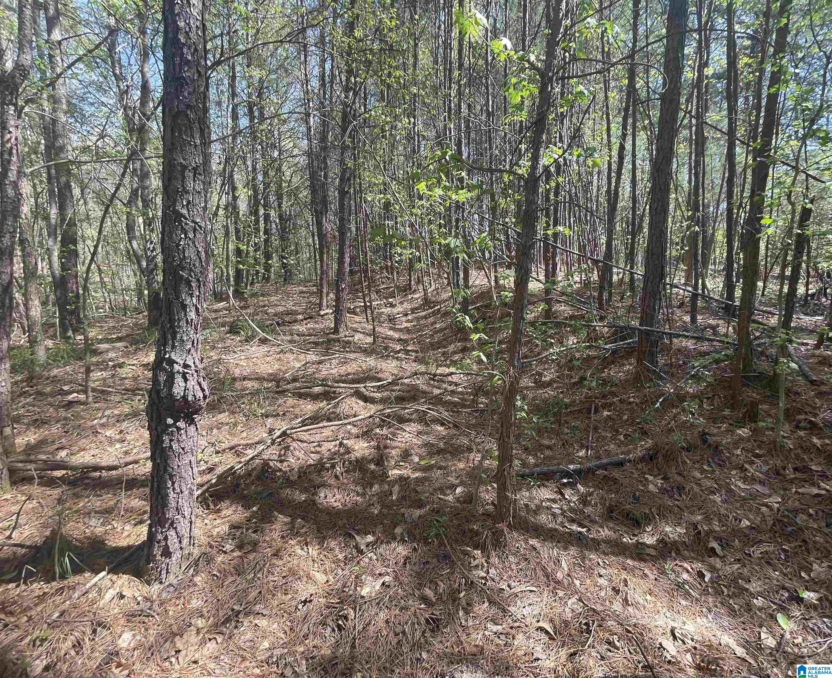 Vance, Tuscaloosa County, AL Farms and Ranches, Homesites for sale