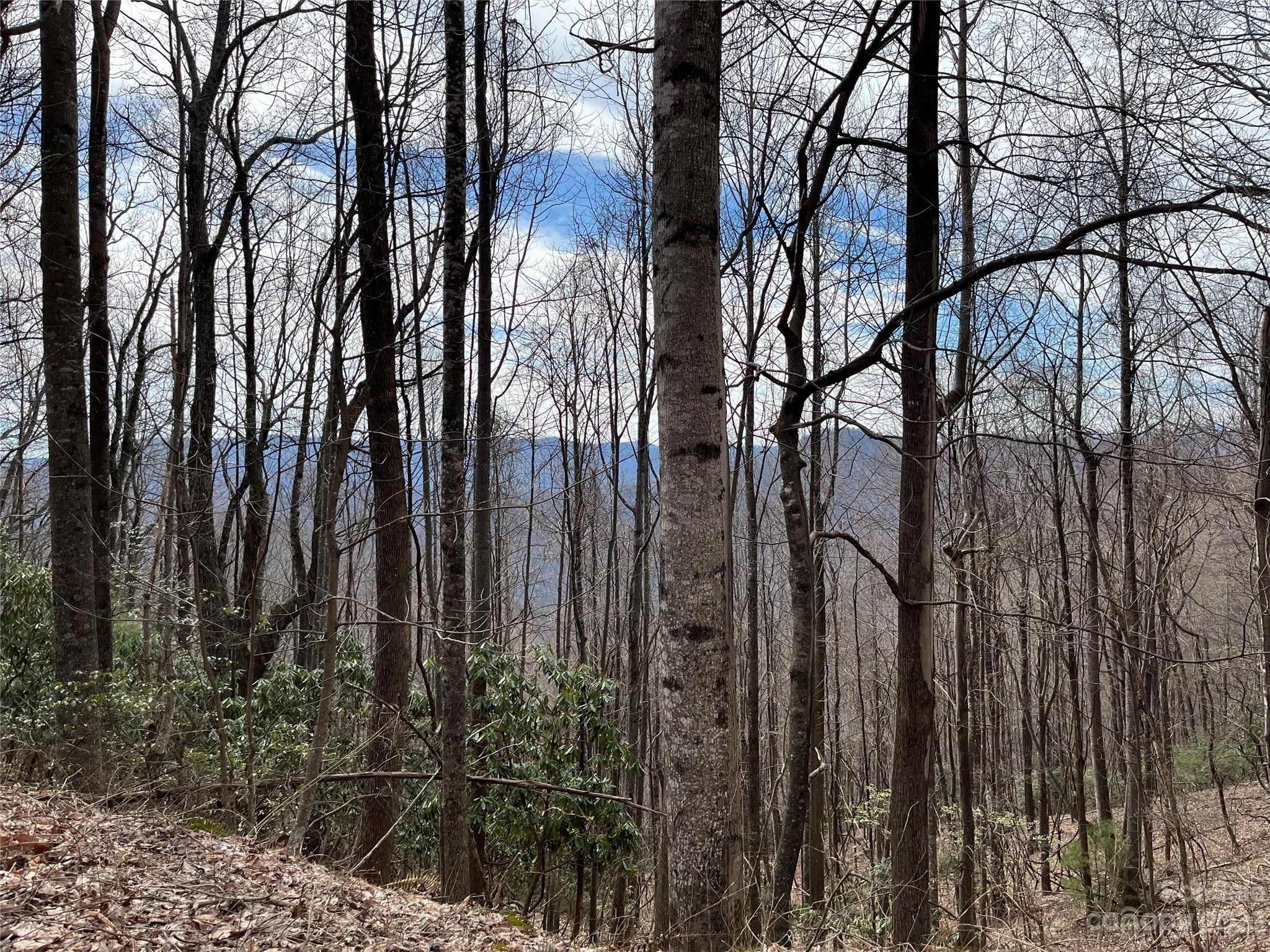 Millers Creek, Wilkes County, NC Farms and Ranches for sale Property ID