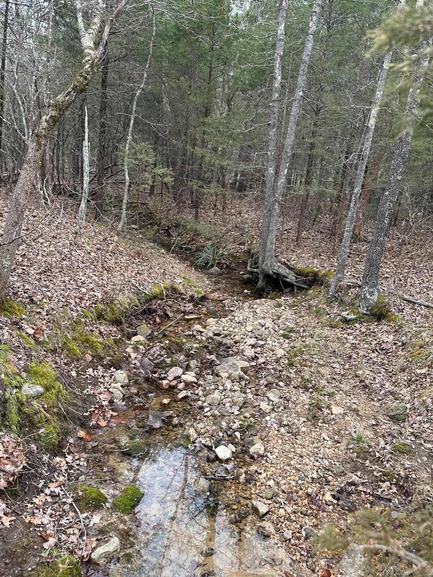 Mammoth Spring, Fulton County, AR Farms and Ranches for sale Property