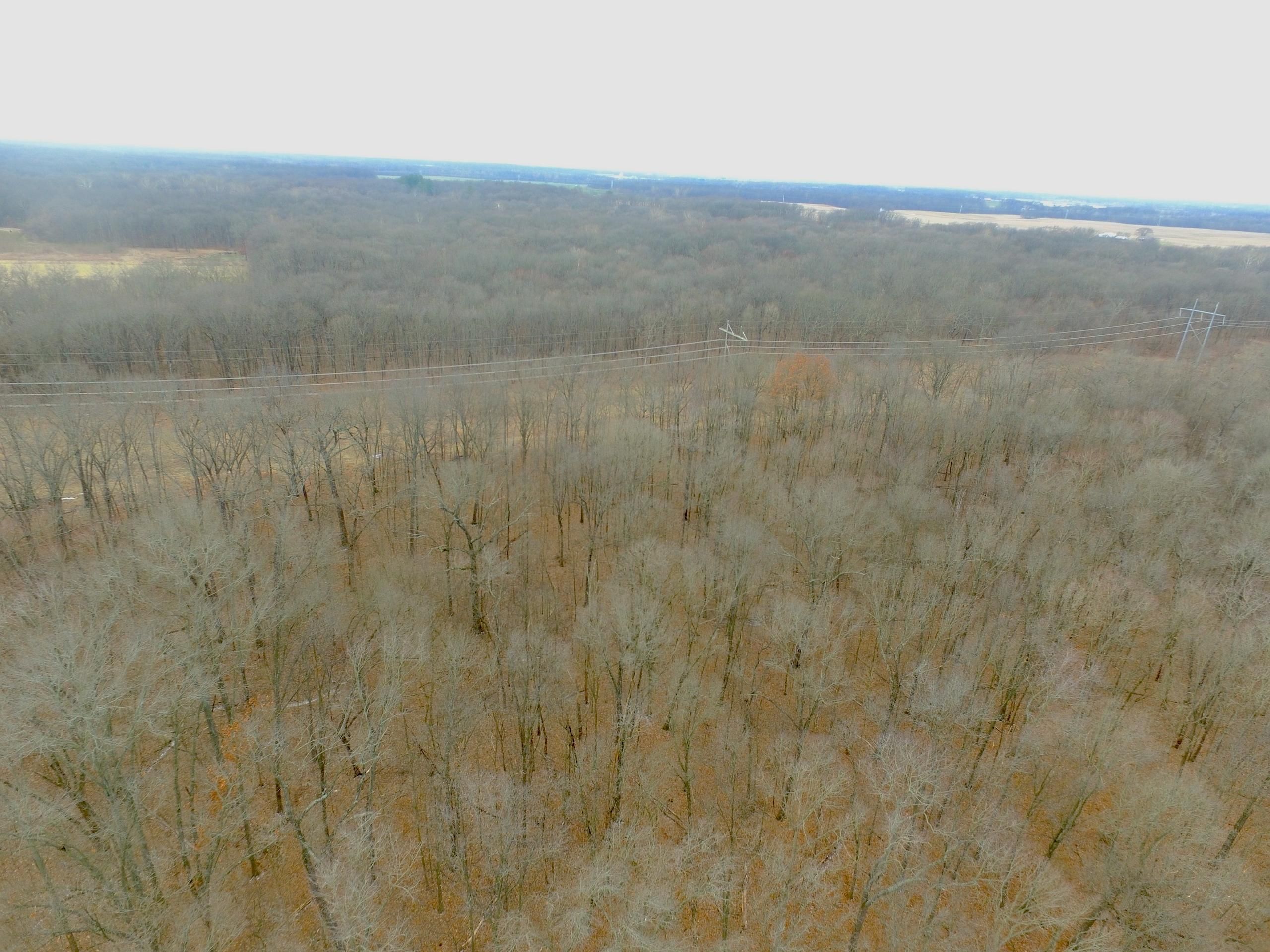 Lively Grove, Washington County, IL Recreational Property, Timberland
