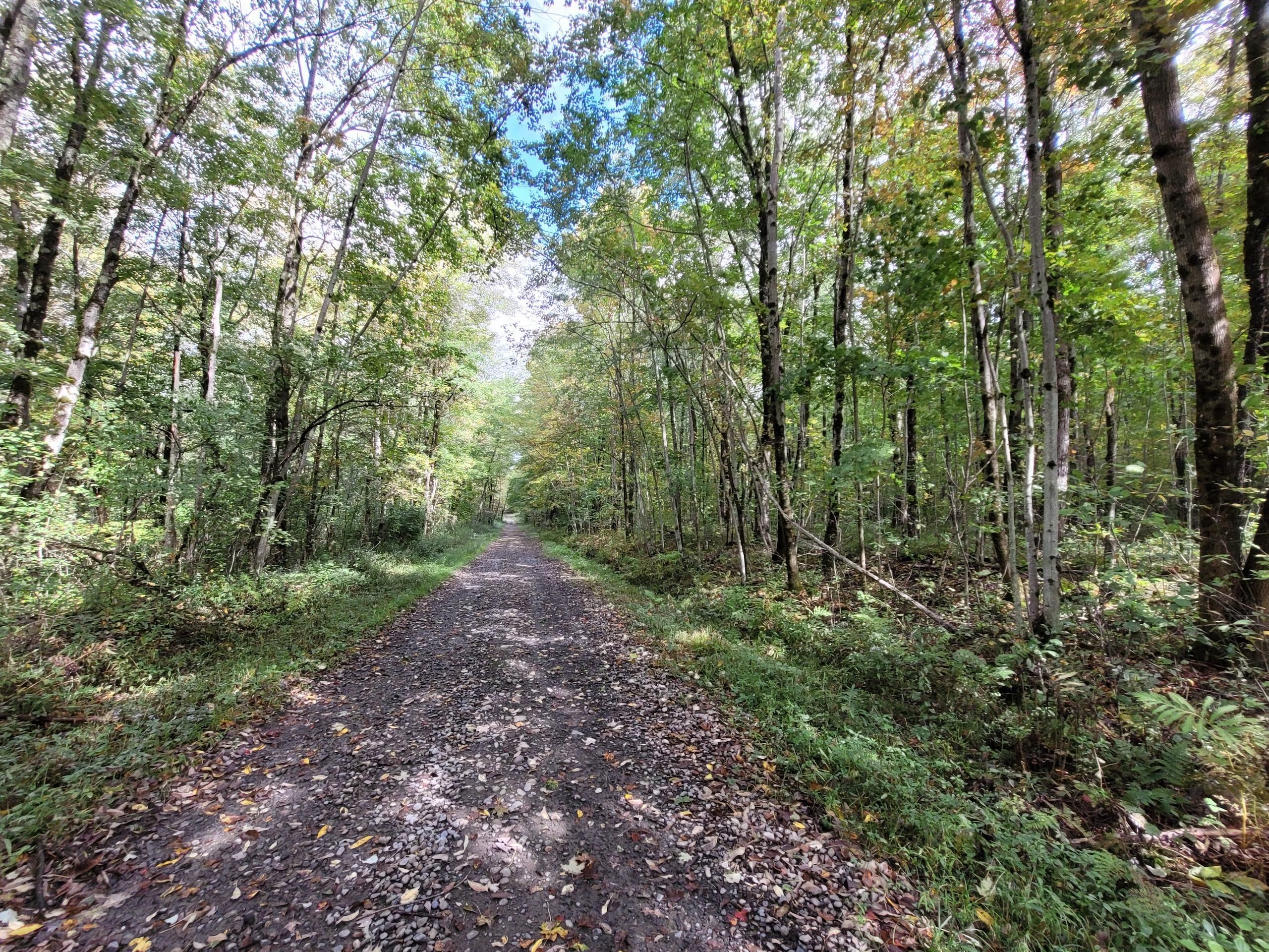 Norwich, Chenango County, NY Farms and Ranches, Hunting Property for