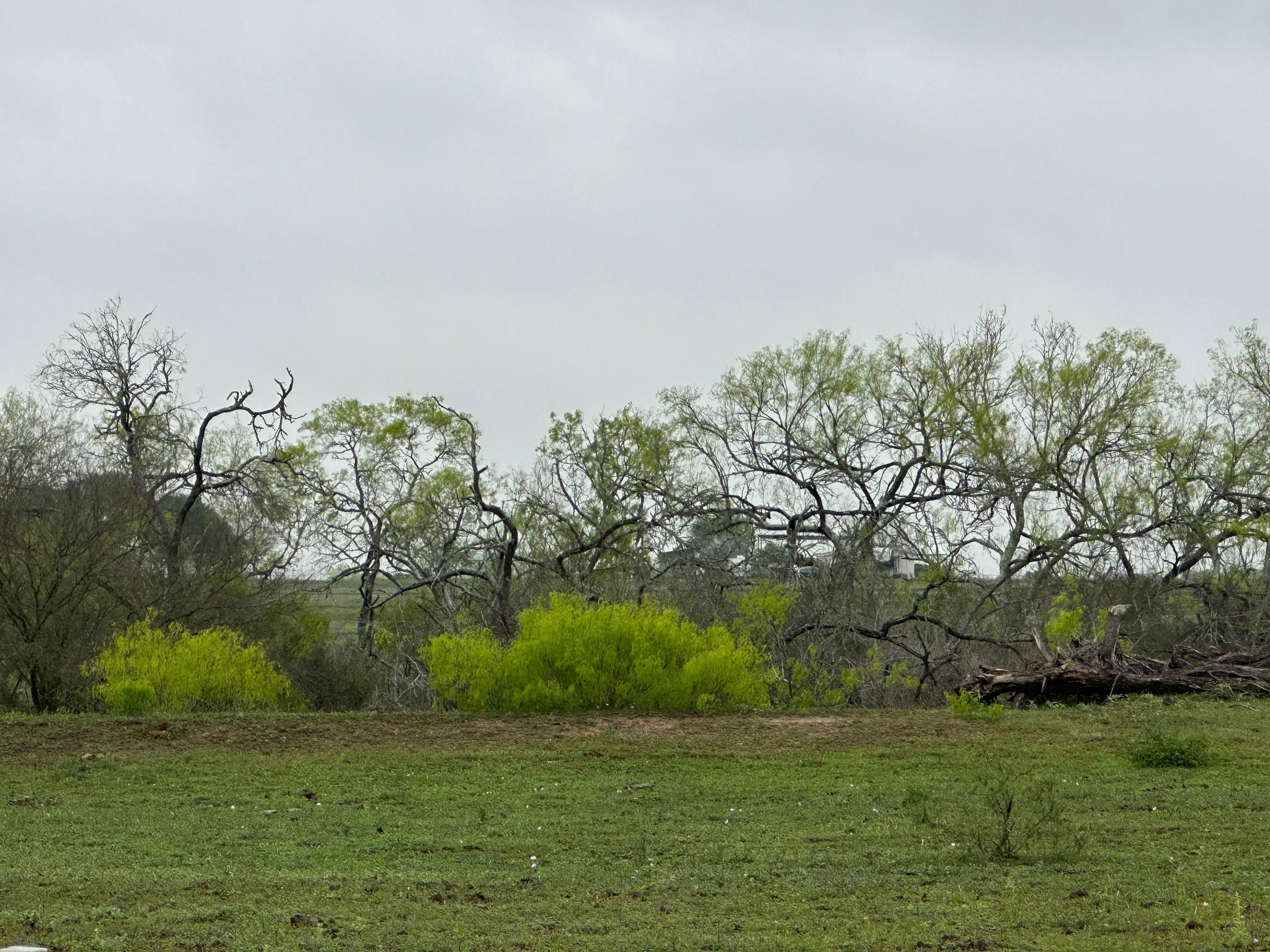 Stockdale, Wilson County, TX Farms and Ranches, Undeveloped Land for