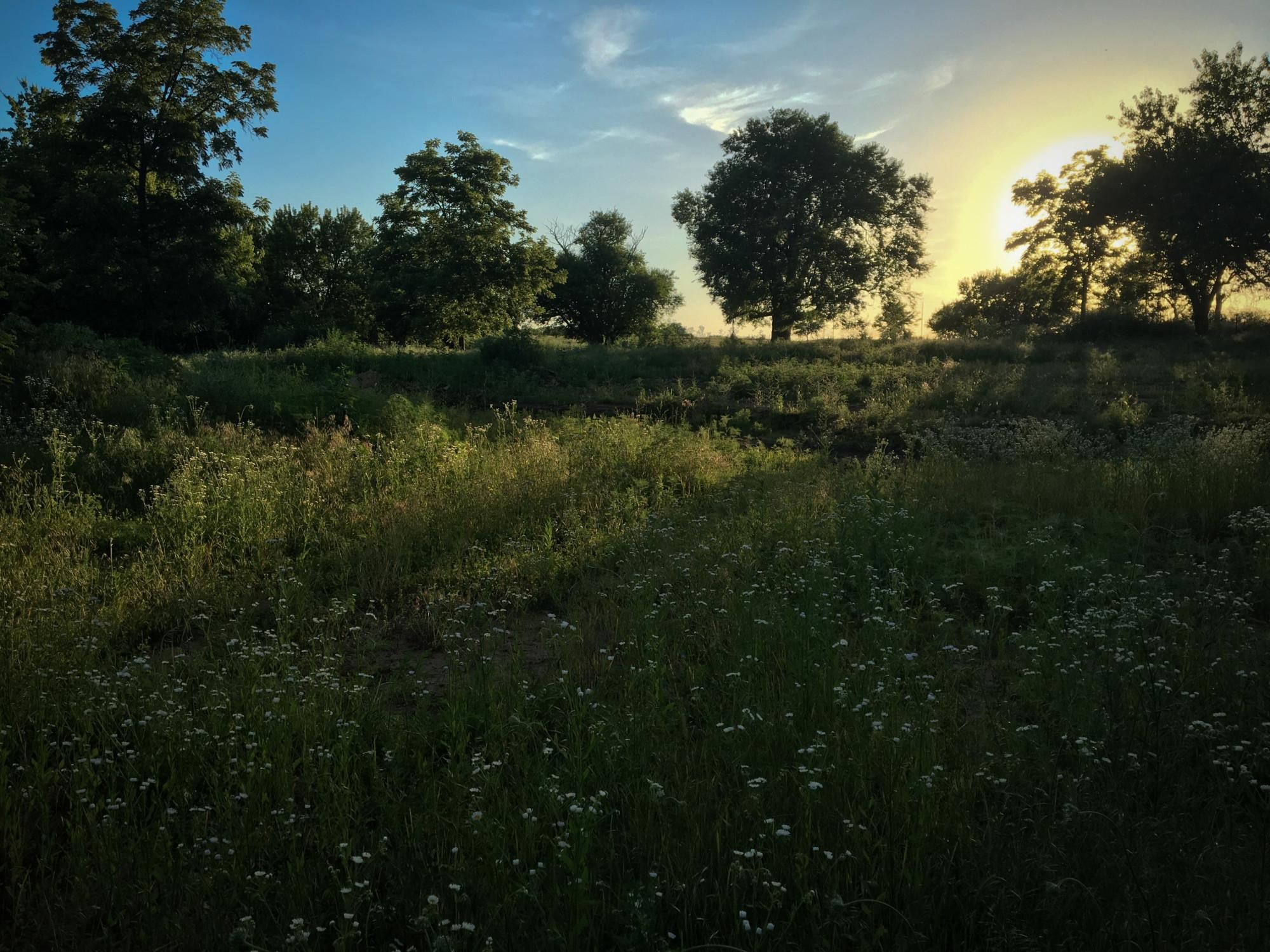 Kincaid, Anderson County, KS Recreational Property, Timberland Property