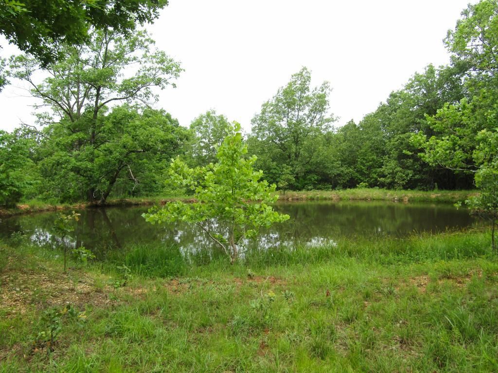 Tunas, Dallas County, MO Recreational Property, Hunting Property for