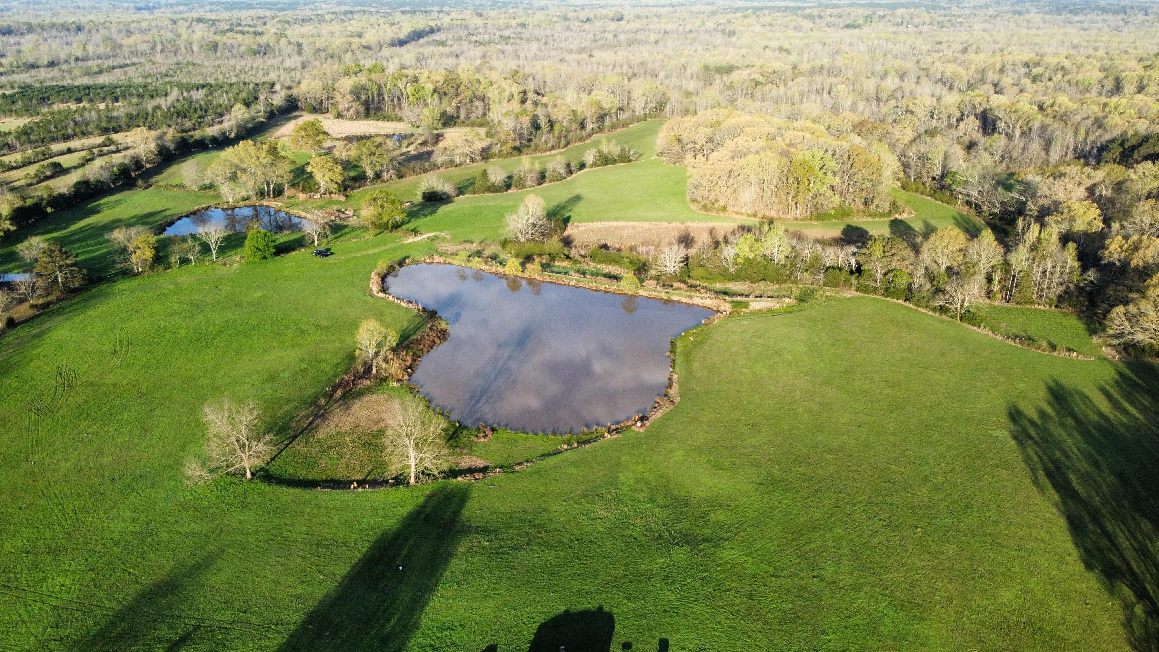 258 acres in Goodman, MS, 39079 LandWatch