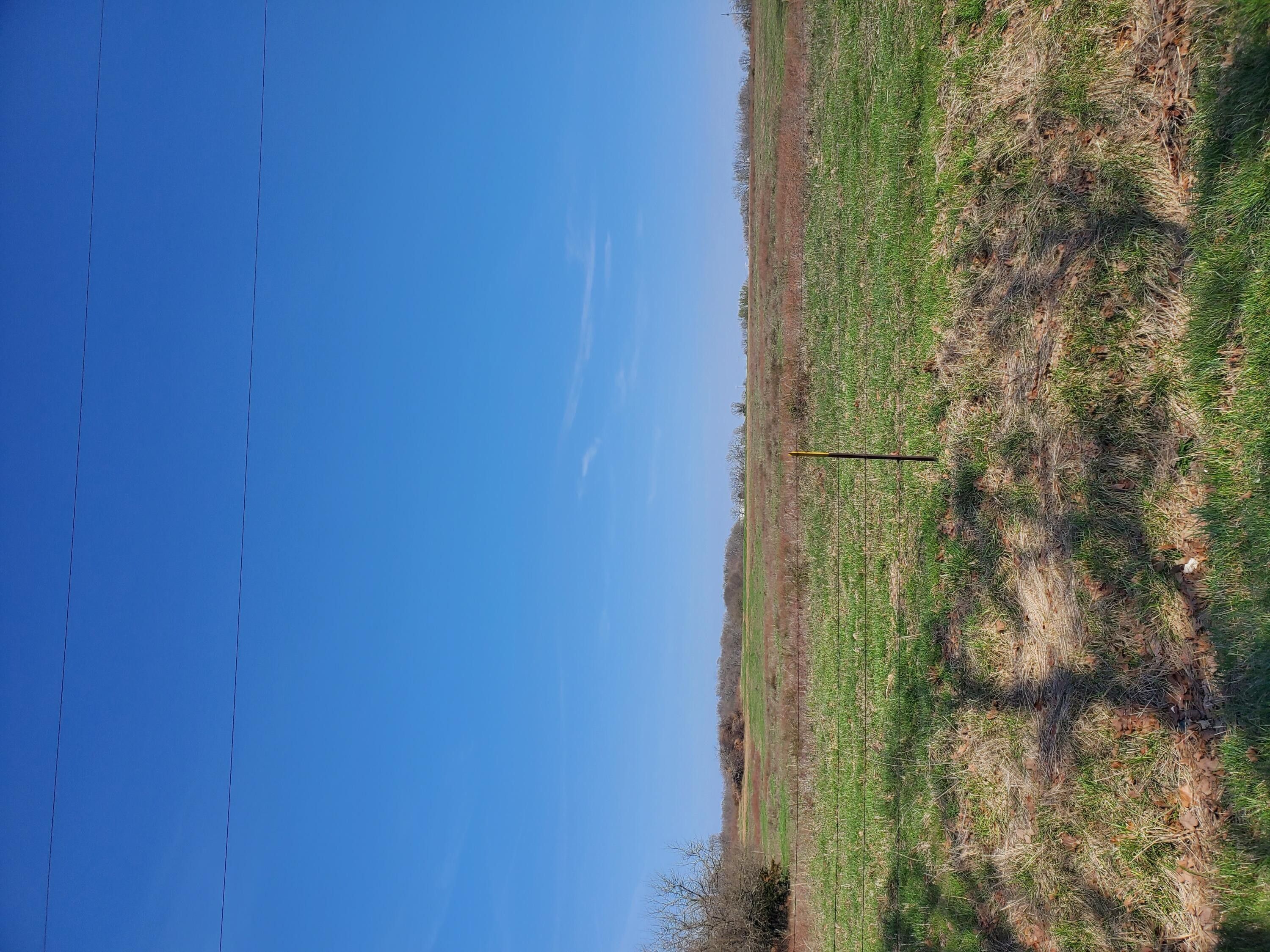 Clever, Christian County, MO Undeveloped Land, Lakefront Property, Waterfront Property