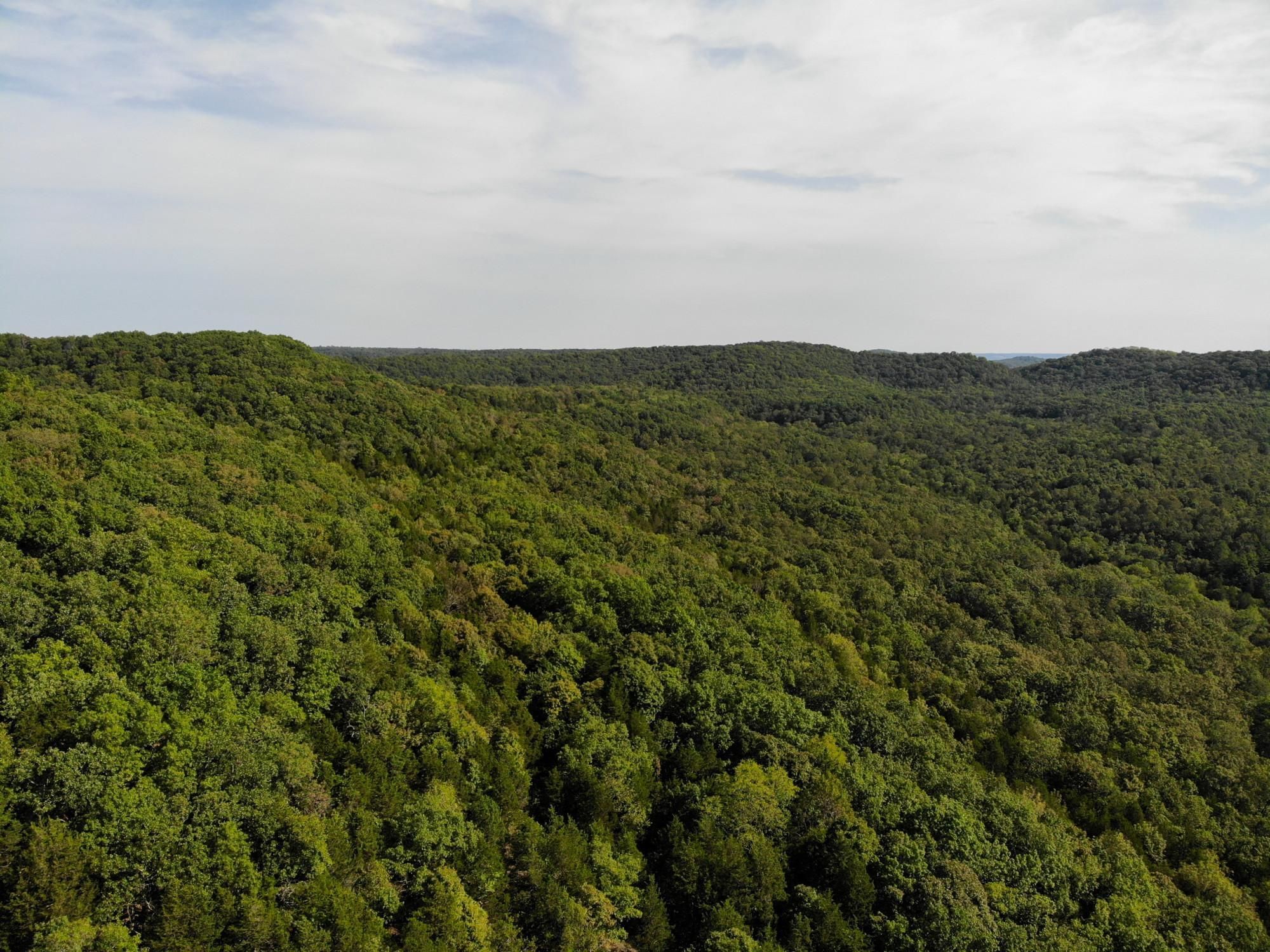 000 Blue Creek Rd., Chadwick, MO 65629 MLS Christian 50.8 LandWatch