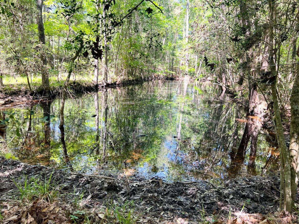 Cleveland, Liberty County, TX Recreational Property, Hunting Property, Horse Property for sale