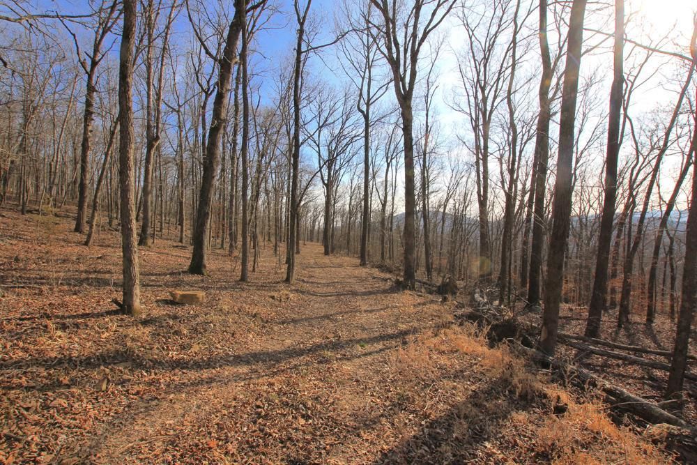 Crosses, Madison County, AR Recreational Property, Timberland Property