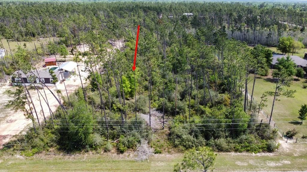 Wewahitchka, Gulf County, FL Farms and Ranches, Homesites for sale