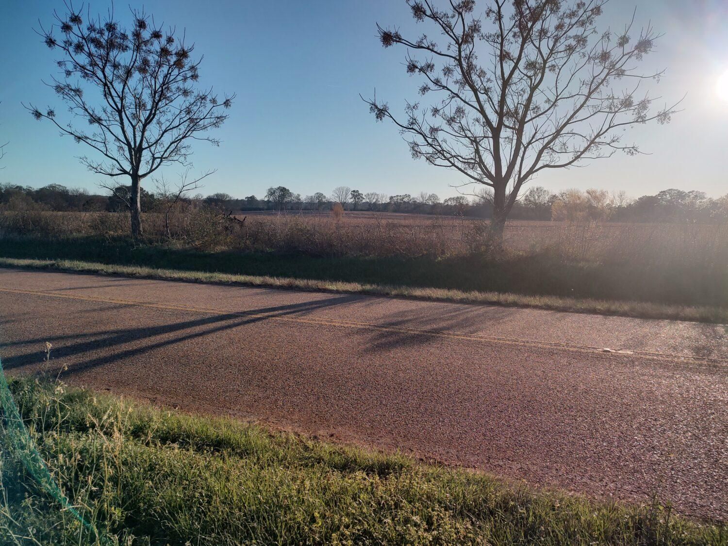 Asbury, Coffee County, AL Farms and Ranches for sale Property ID