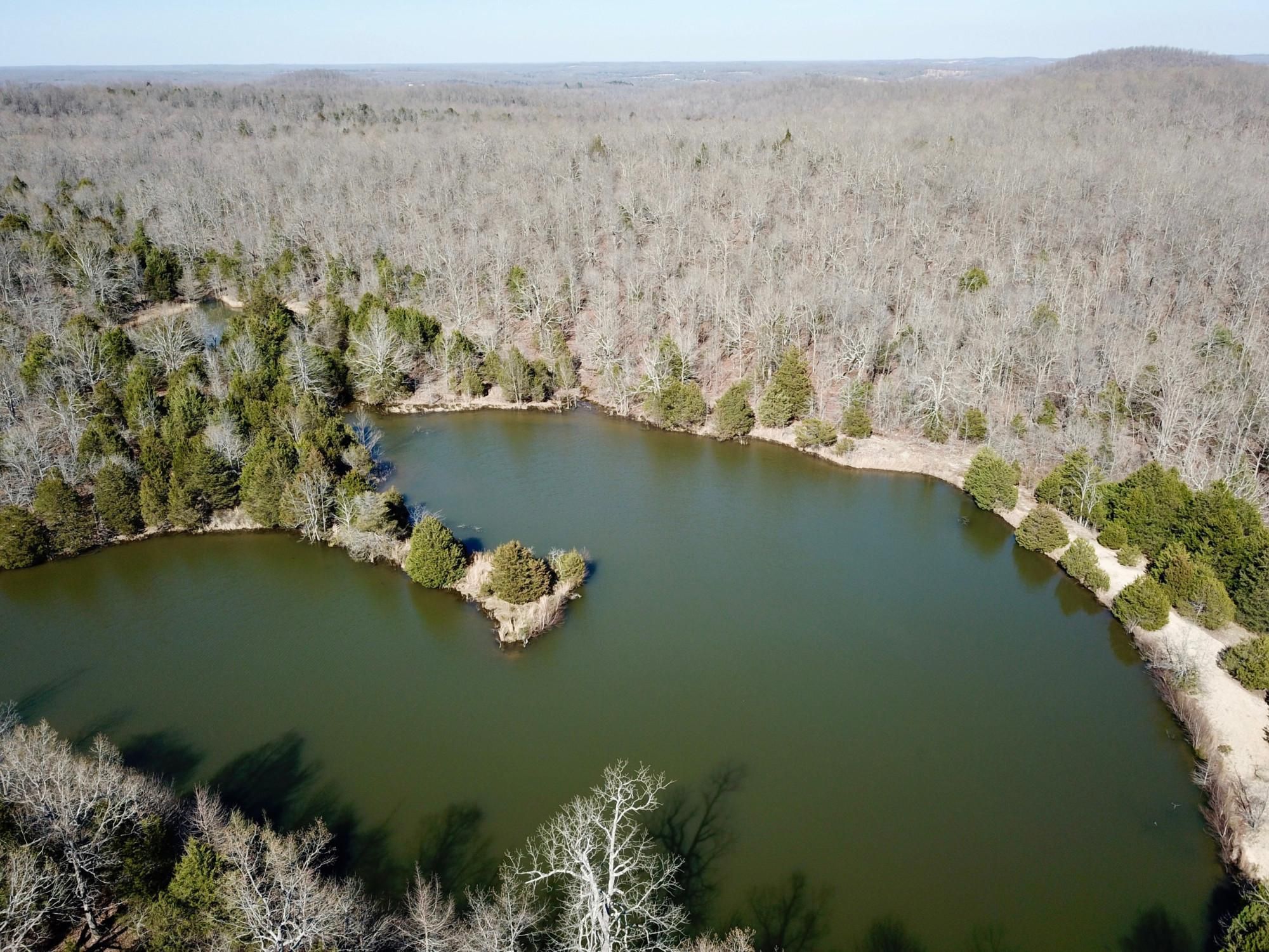 Salem, Fulton County, AR Recreational Property, Timberland Property