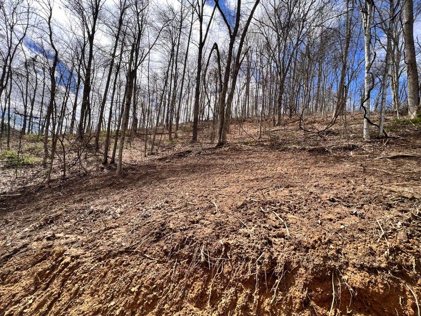 Sandy Hook, Elliott County, KY Undeveloped Land for sale Property ID