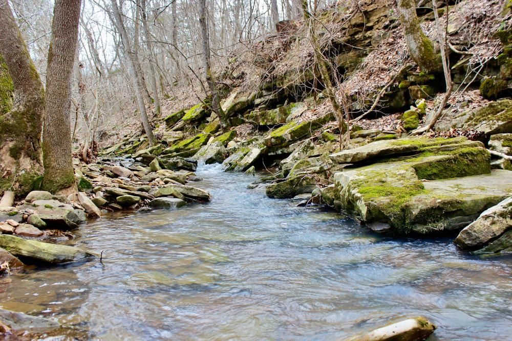 000 County Road 12, Kingston, AR 72742 MLS Newton 240 LandWatch