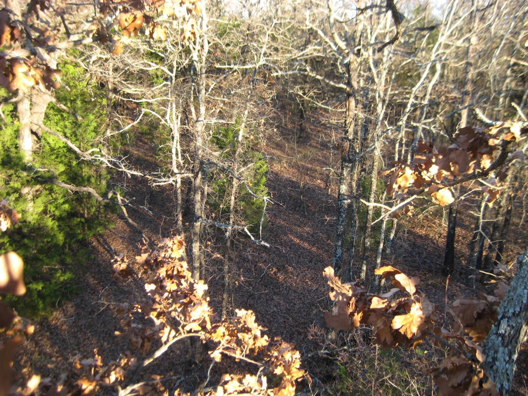 Tishomingo, Johnston County, OK Farms and Ranches, Timberland Property