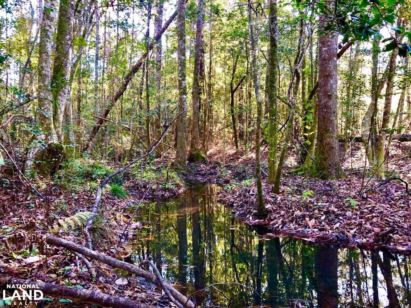 Lucedale, County, MS Recreational Property, Timberland Property