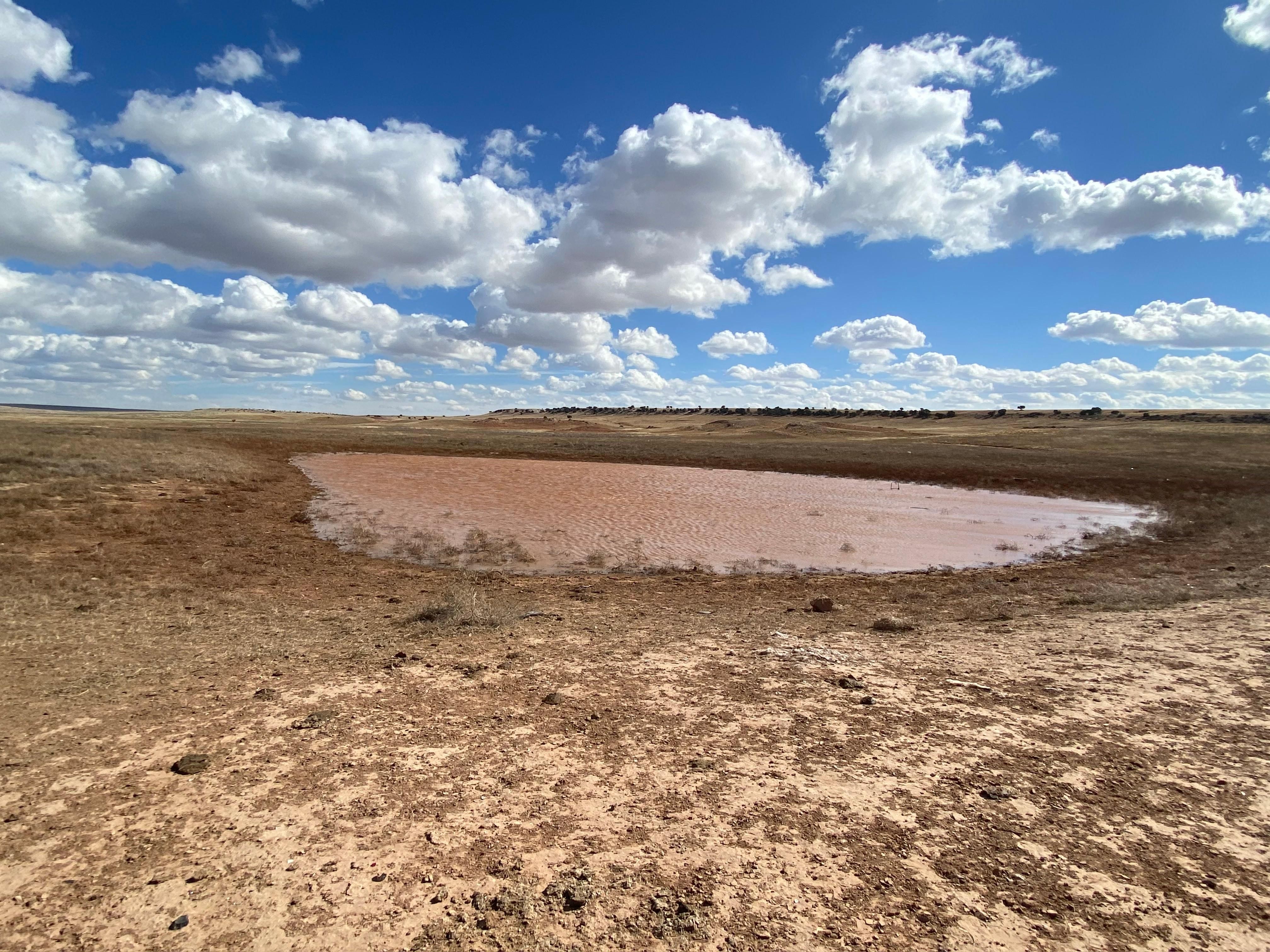 Moriarty, Torrance County, NM Recreational Property, Homesites for sale