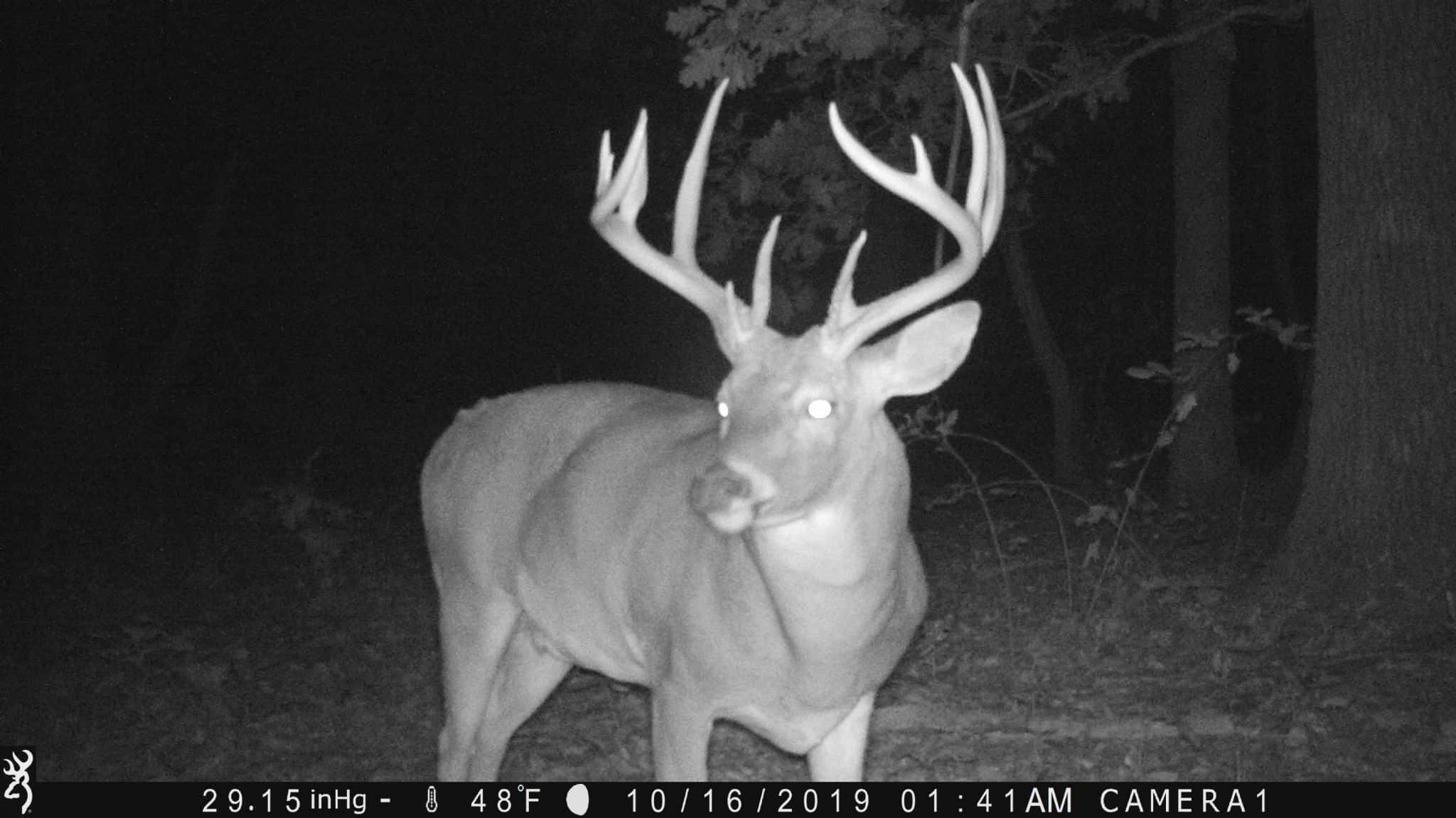 Thompsonville, Hamilton County, IL Timberland Property, Hunting