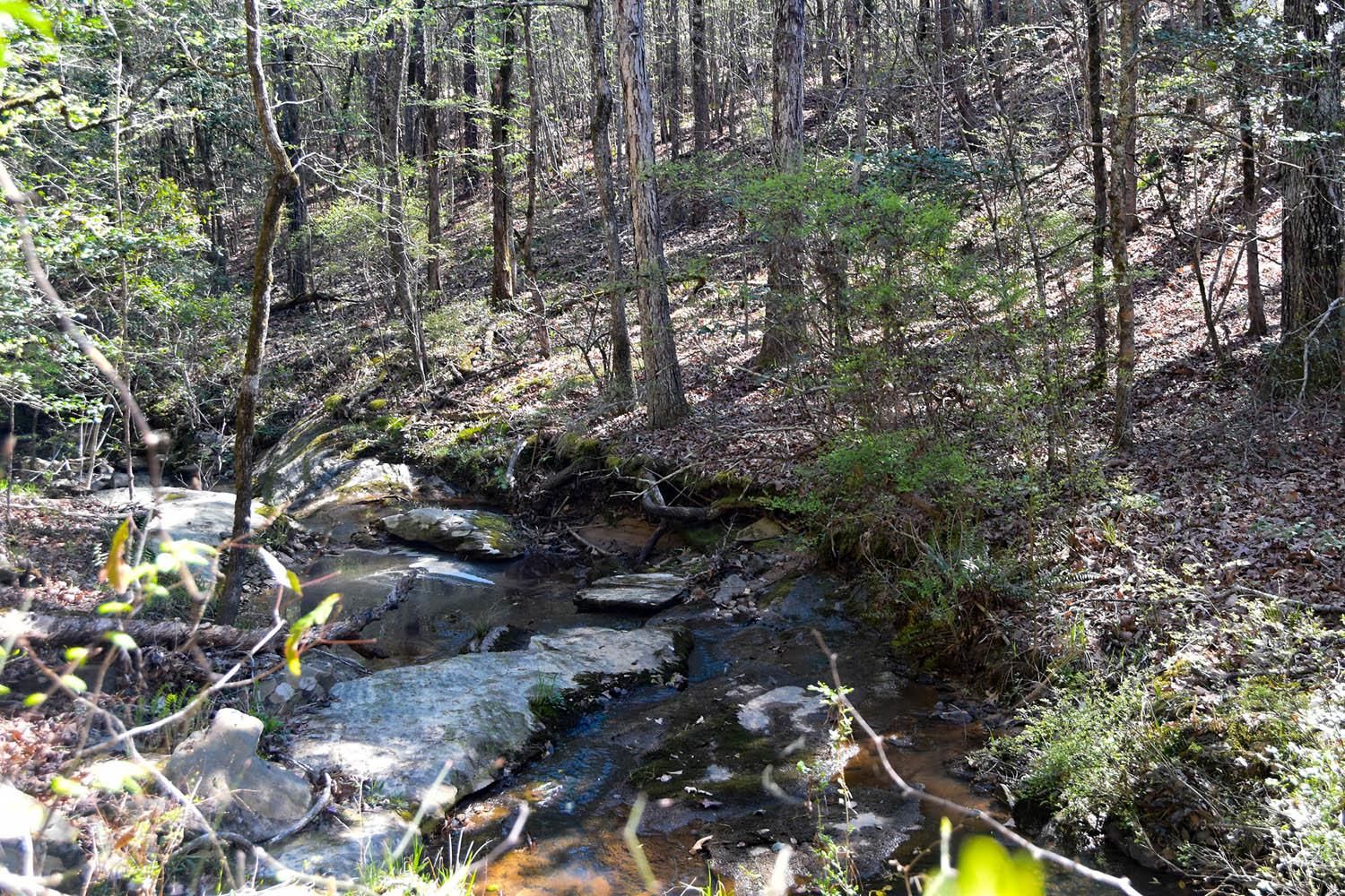 Talbotton, Talbot County, GA Timberland Property, Hunting Property for sale Property ID