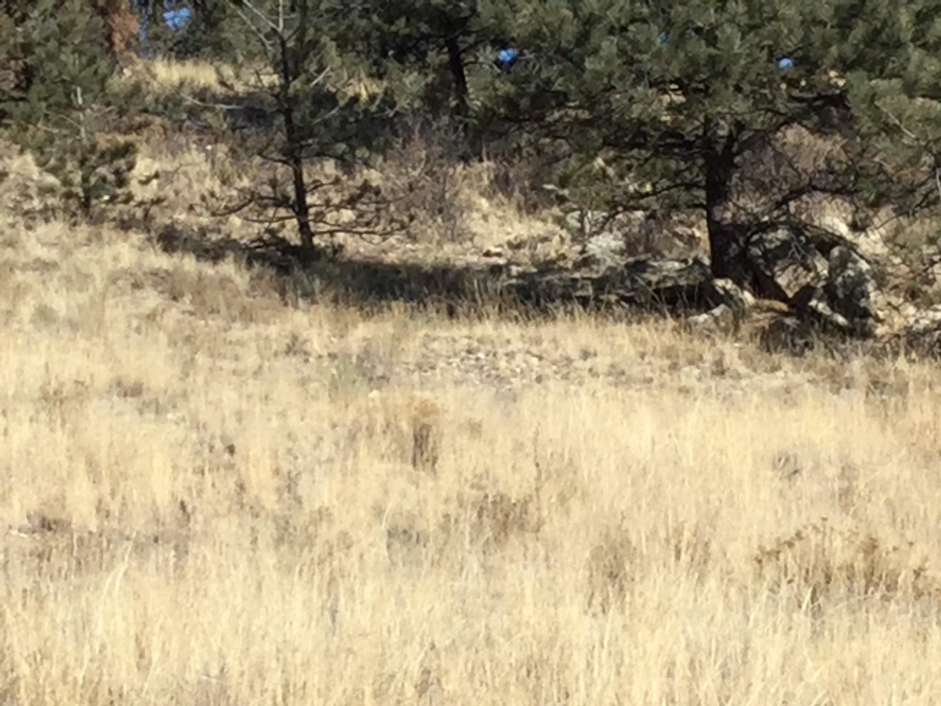 Lake Park County, CO Recreational Property, Undeveloped Land