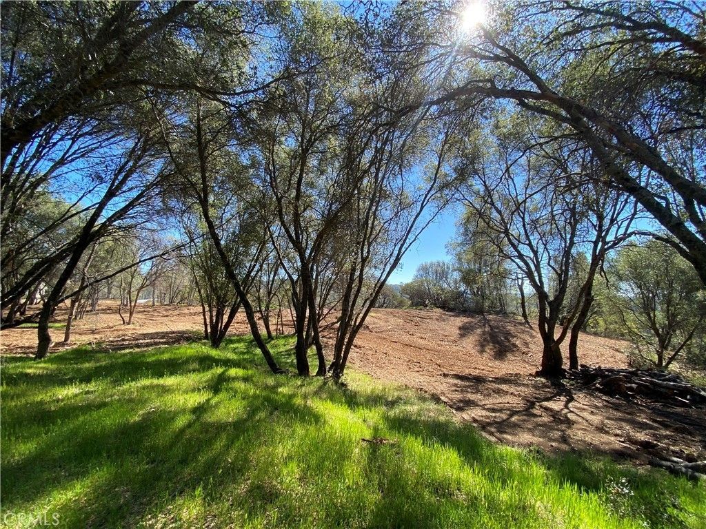 Mariposa, Mariposa County, CA Farms and Ranches for sale Property ID