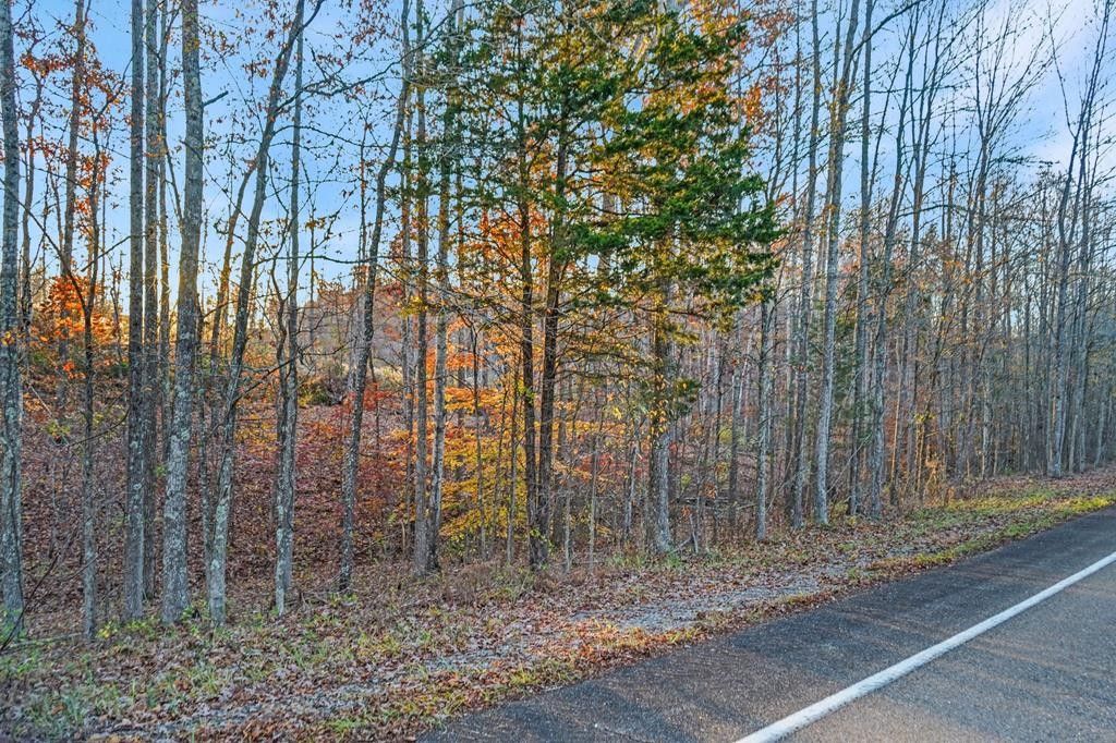 Dover, Stewart County, TN Lakefront Property, Waterfront Property for