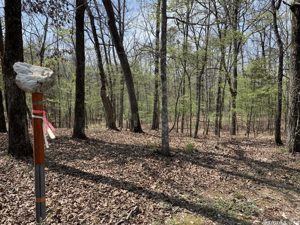 Mount Ida, Montgomery County, AR Farms and Ranches for sale Property ID