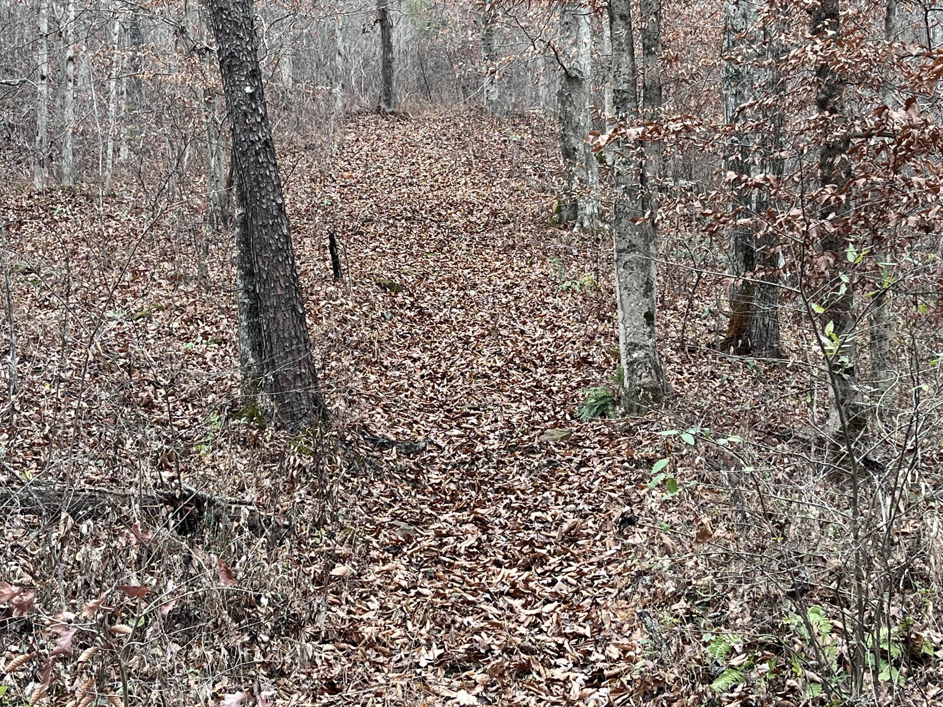 Manchester, Clay County, KY Farms and Ranches for sale Property ID