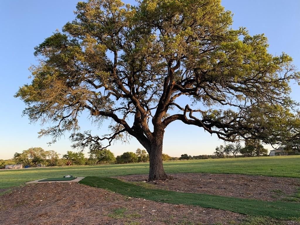 Kerrville, Gillespie County, TX Farms and Ranches, Lakefront Property