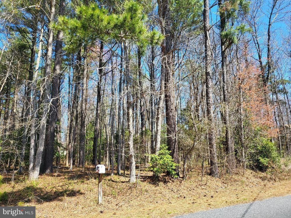 Montross, Westmoreland County, VA Farms and Ranches, Homesites for sale