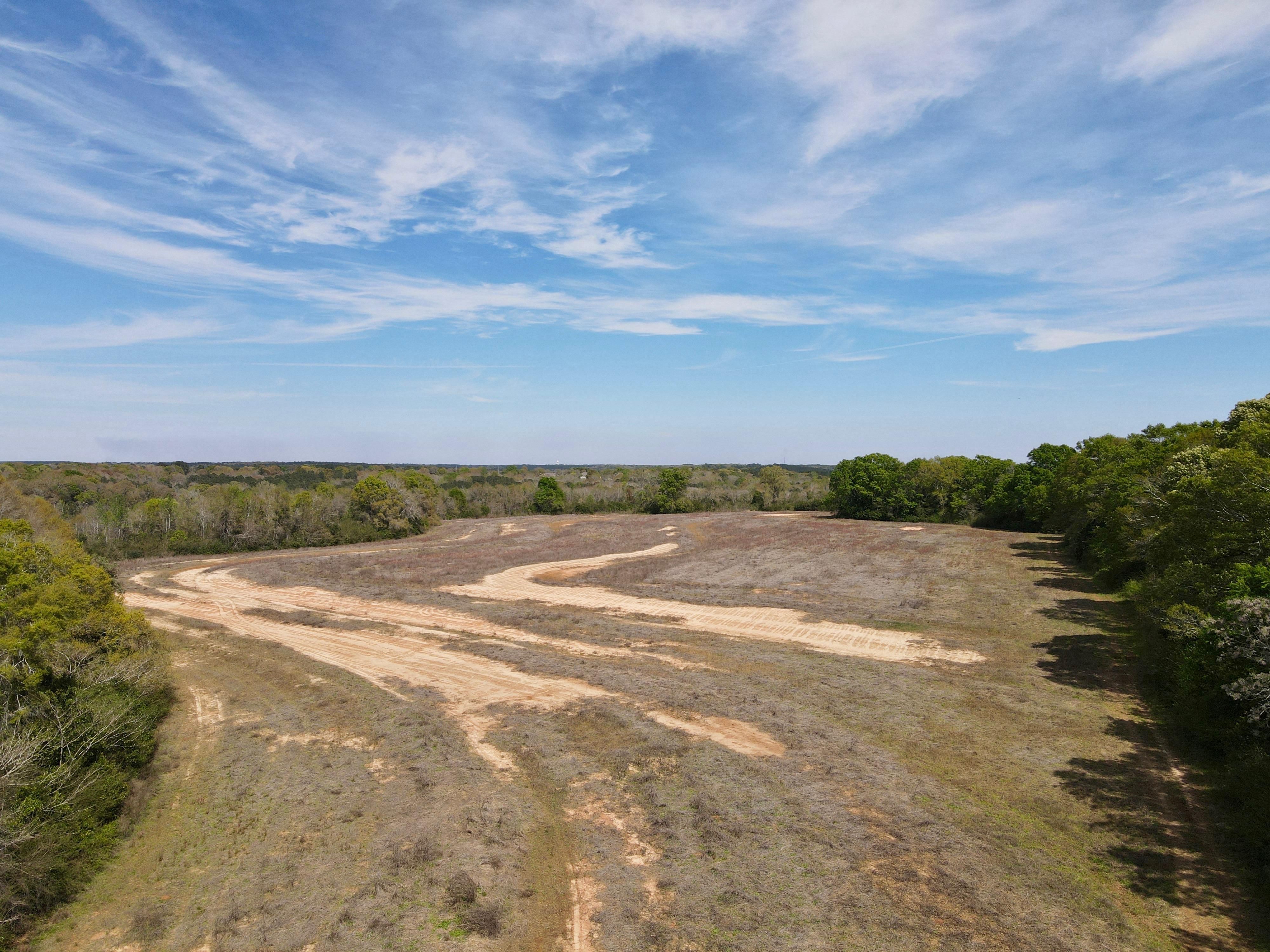 60 acres in New Brockton, AL, 36351 LandWatch