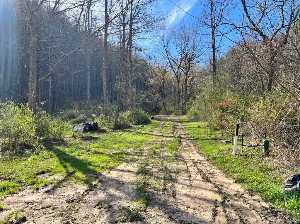 Robinson Creek, Pike County, KY Farms and Ranches for sale Property ID