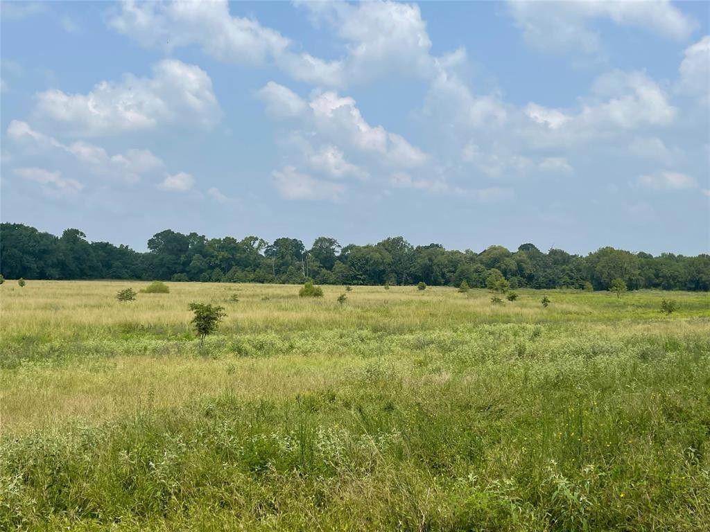 Ben Wheeler, Van Zandt County, TX Undeveloped Land for sale Property ID