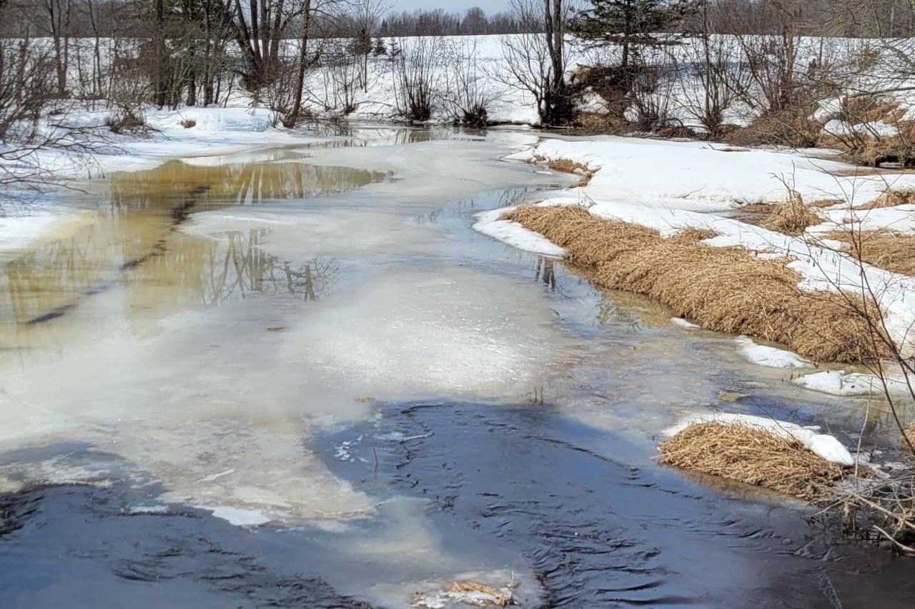 Prentice, Price County, WI Farms and Ranches, Lakefront Property
