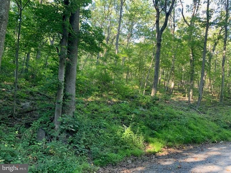 Winchester, Frederick County, VA Undeveloped Land, Homesites for sale